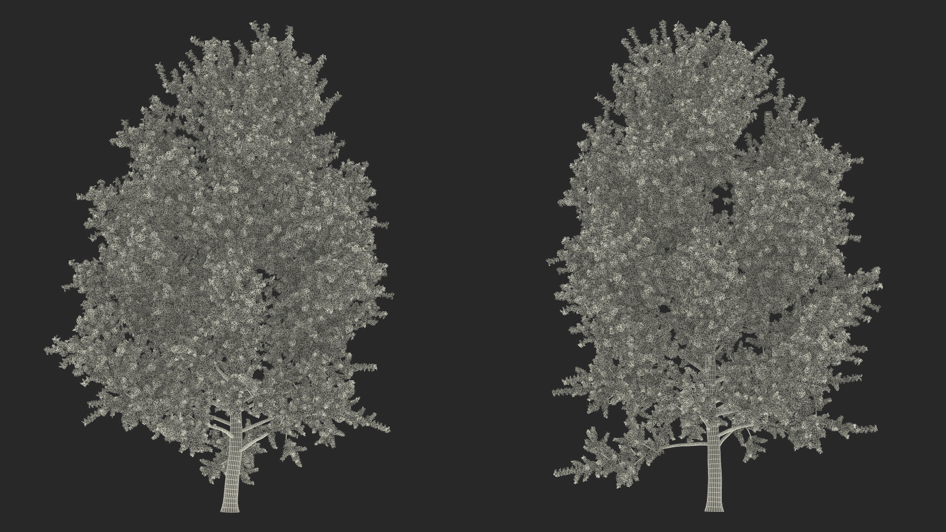 3D model Autumn Yellow Poplar Tree