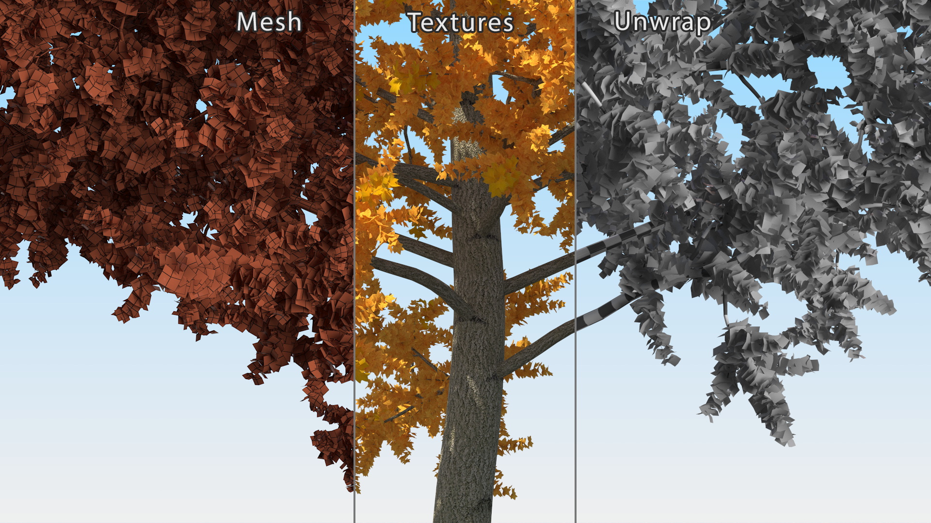 3D model Autumn Yellow Poplar Tree