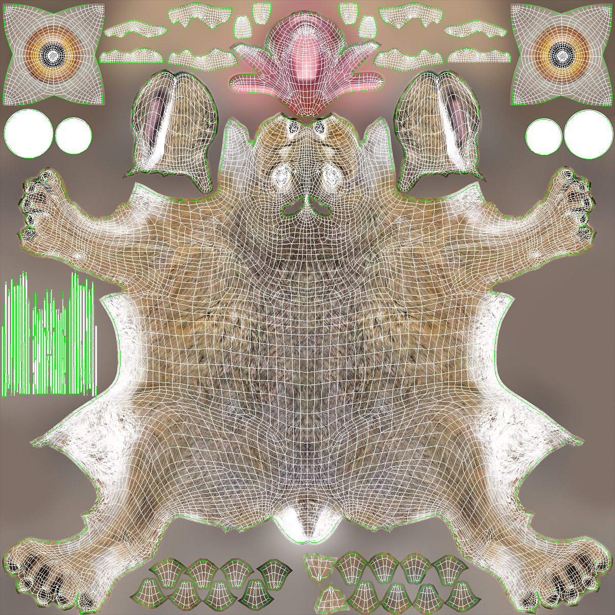 3D Hare  Animated Rigged