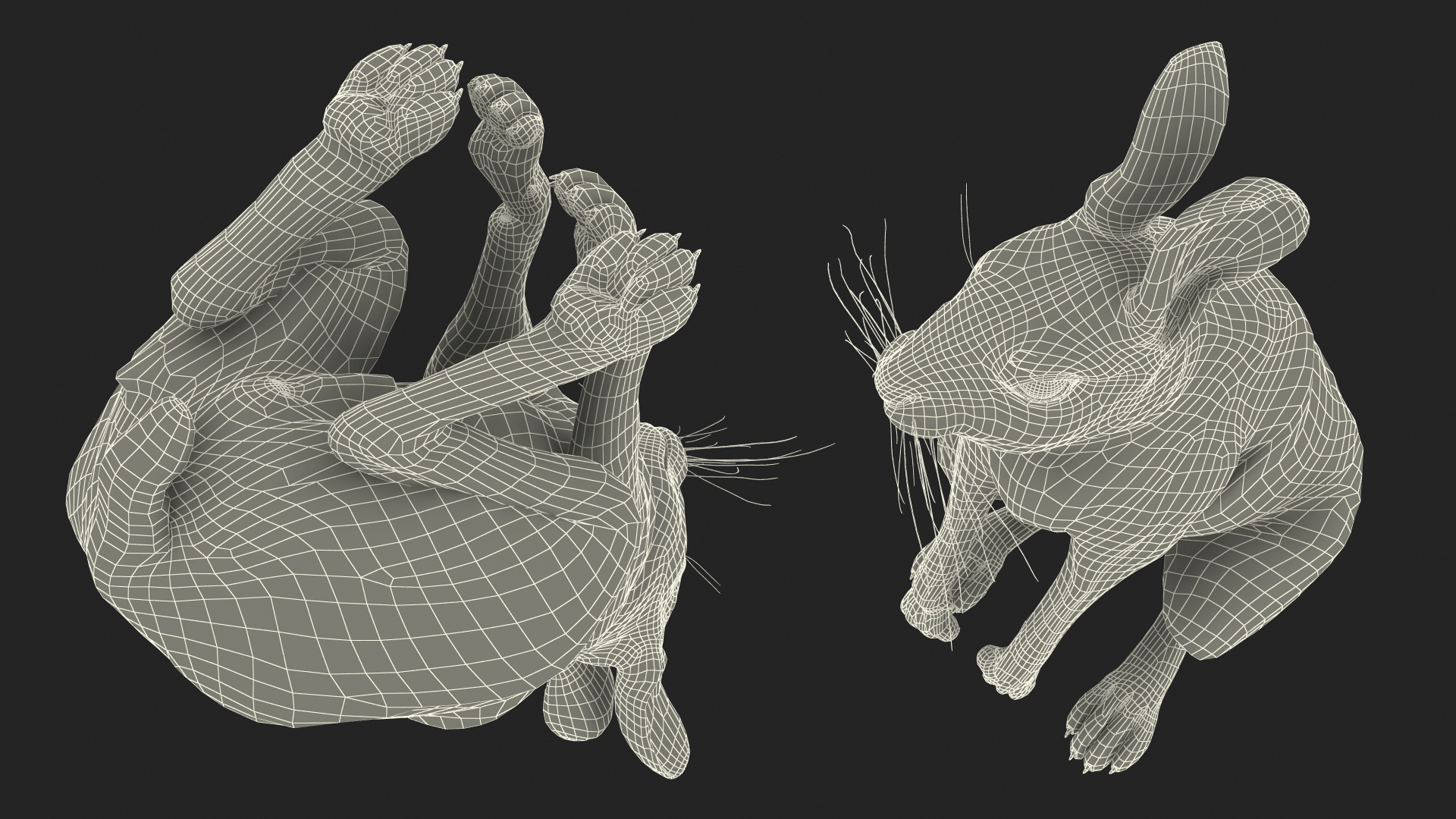 3D Hare  Animated Rigged