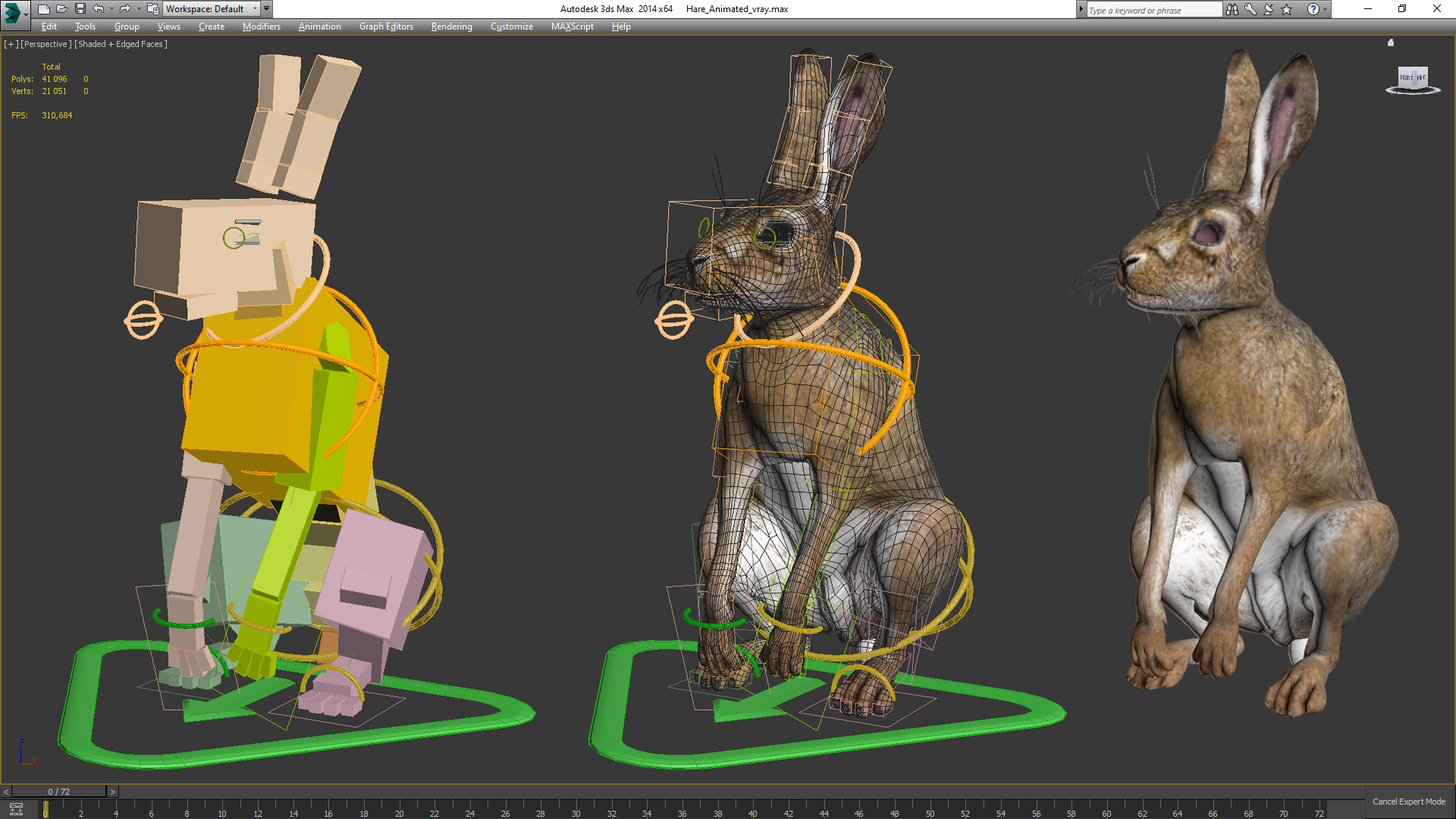 3D Hare  Animated Rigged