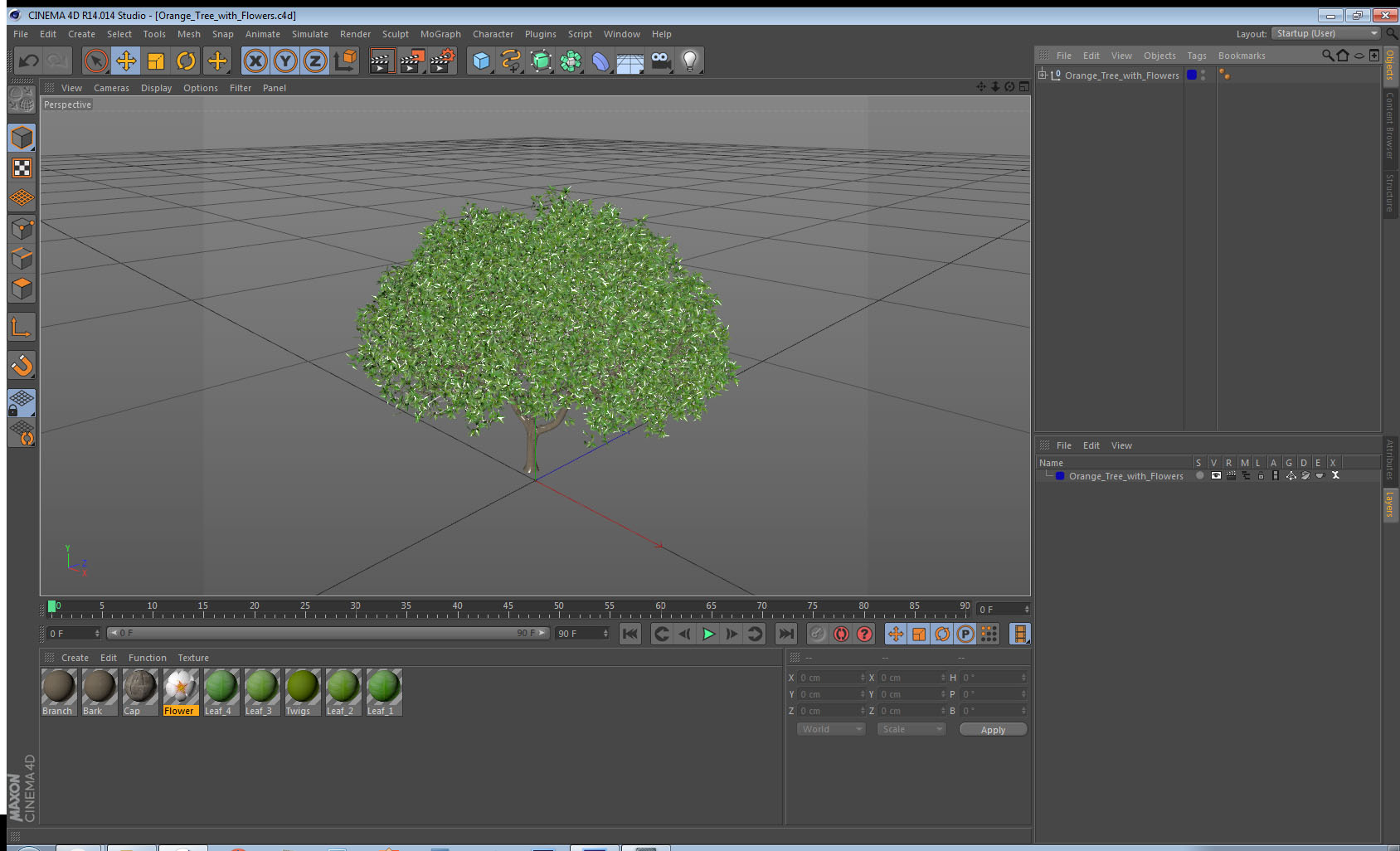 Orange Tree with Flowers 3D model