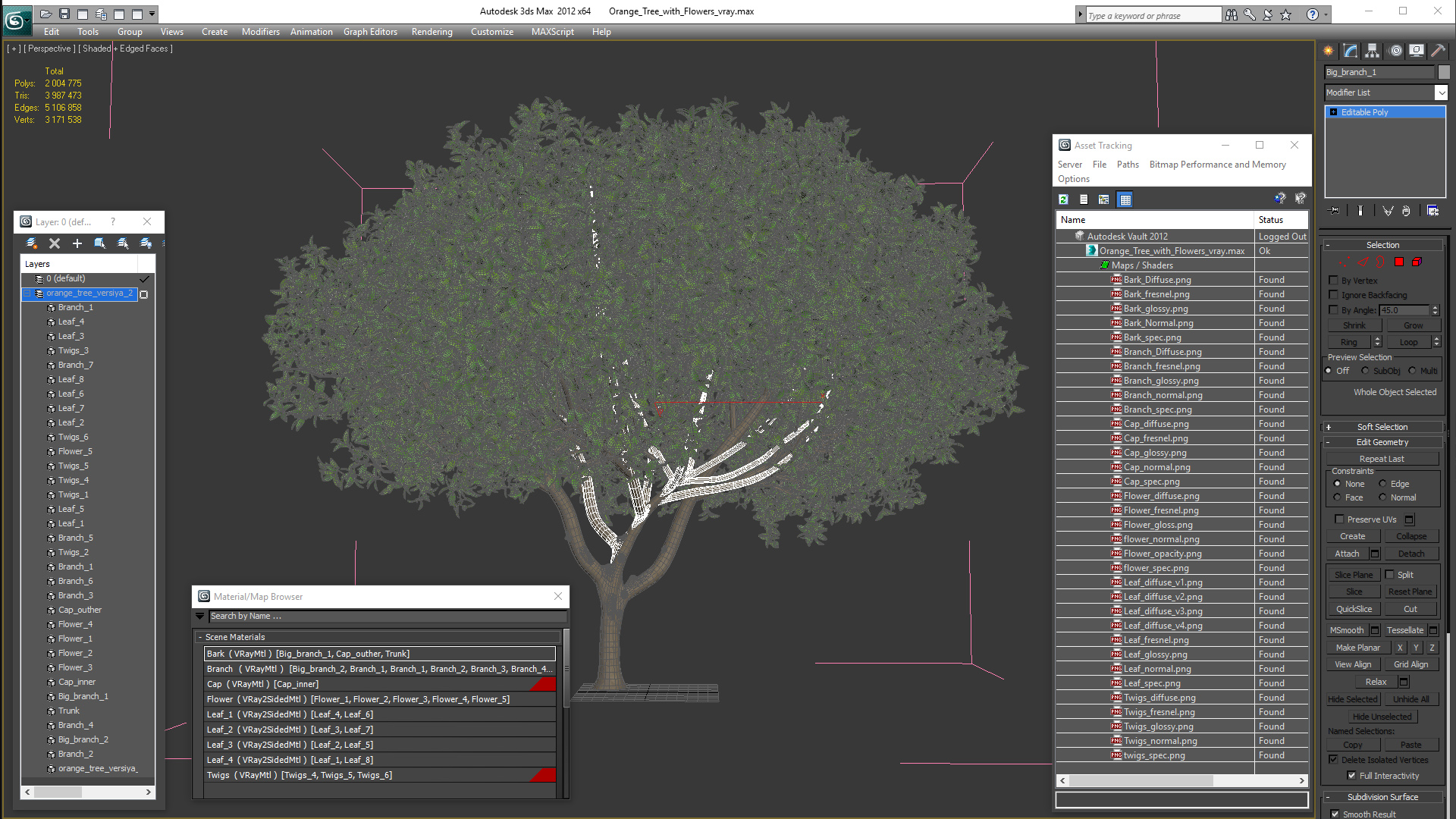 Orange Tree with Flowers 3D model