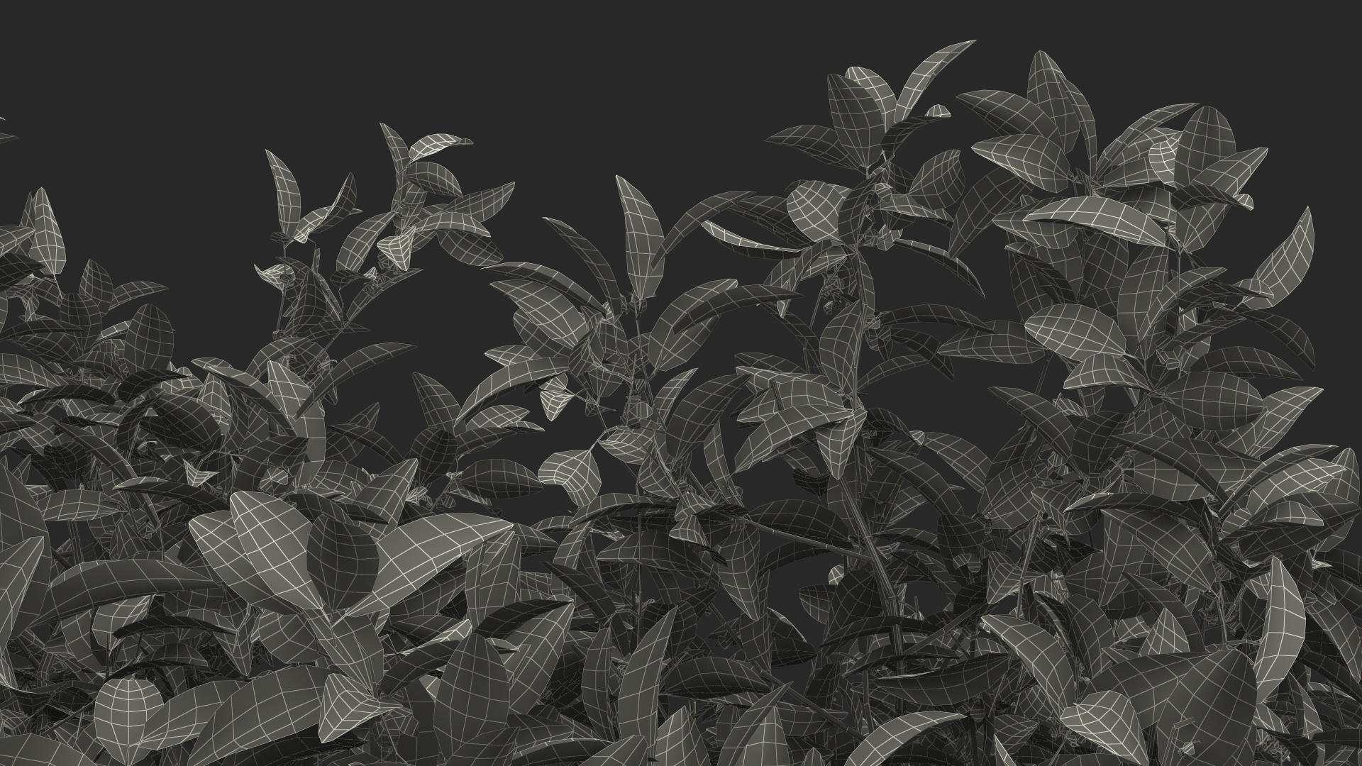 Orange Tree with Flowers 3D model