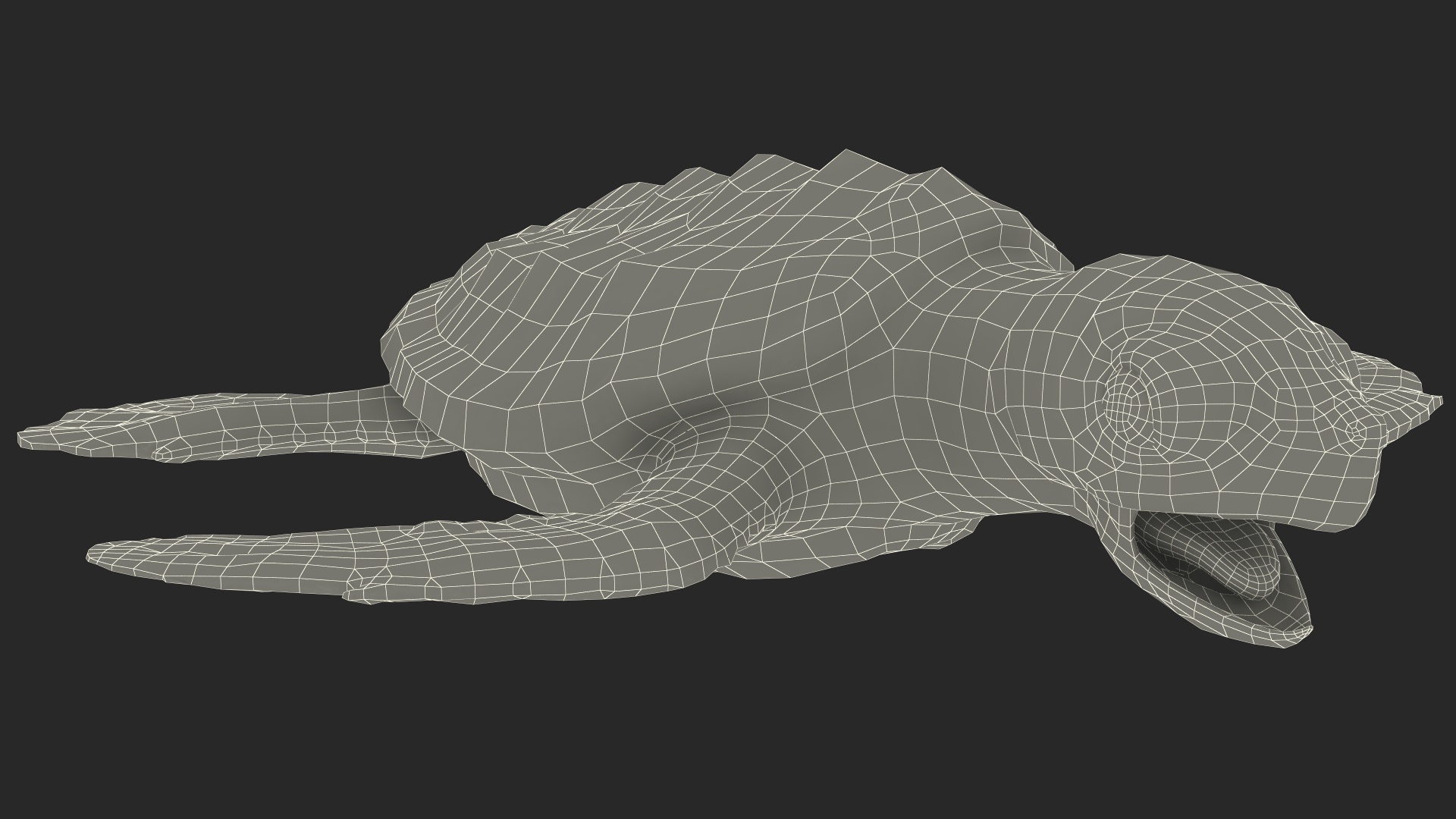 Baby Sea Turtle Black Rigged for Cinema 4D 3D