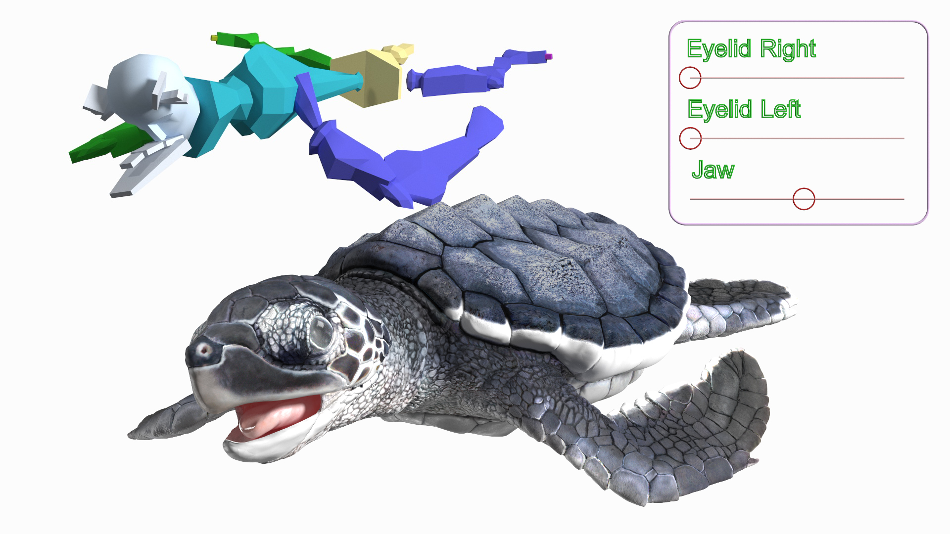 Baby Sea Turtle Black Rigged for Cinema 4D 3D