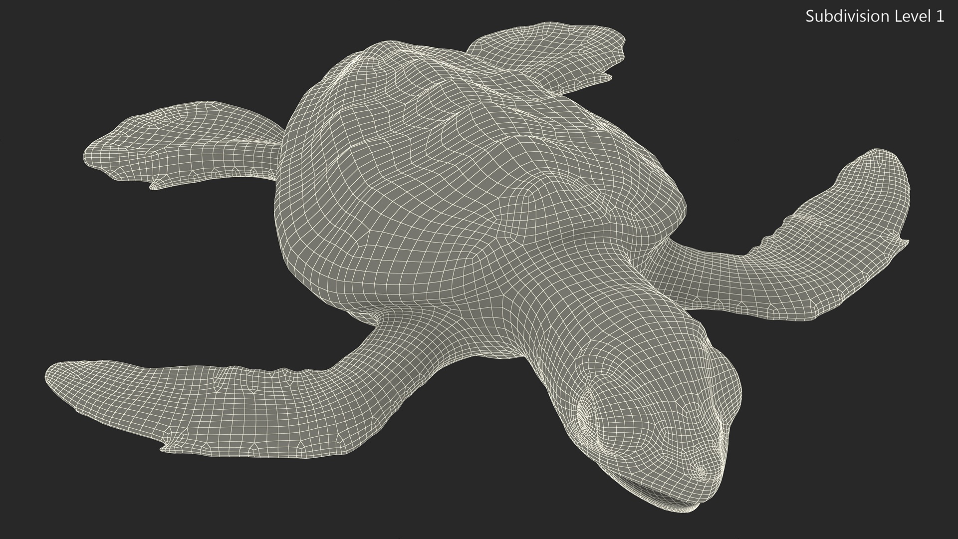 Baby Sea Turtle Black Rigged for Cinema 4D 3D
