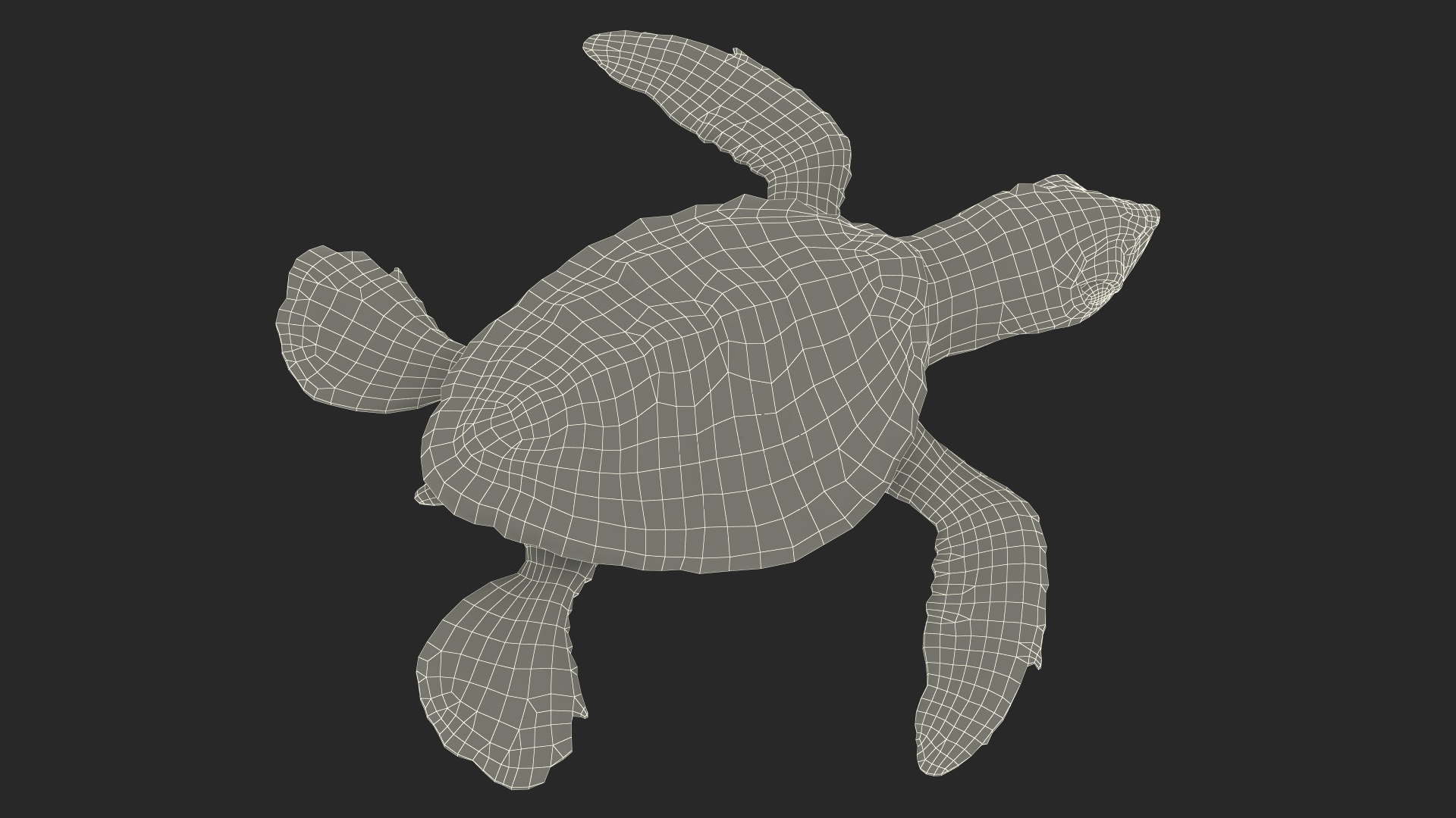Baby Sea Turtle Black Rigged for Cinema 4D 3D