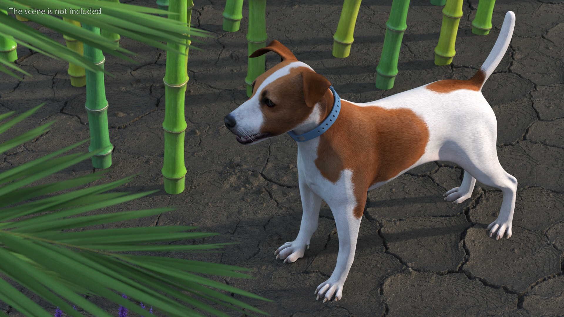 3D Jack Russell Terrier with Apple Dog Tracker model