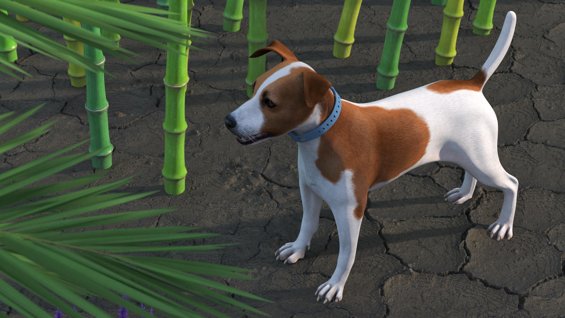 Jack Russell Terrier with Apple Dog Tracker, view 3