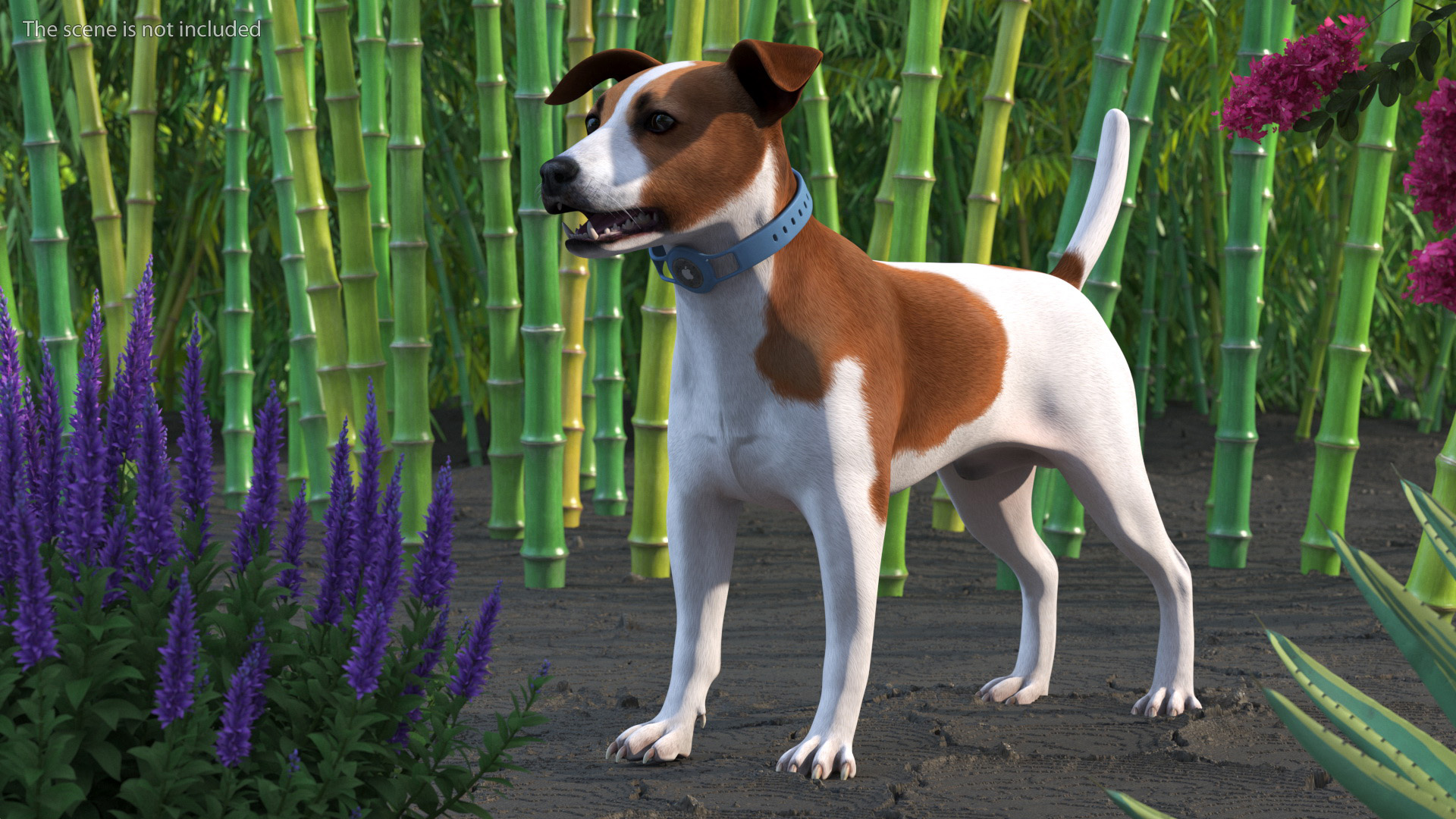 3D Jack Russell Terrier with Apple Dog Tracker model