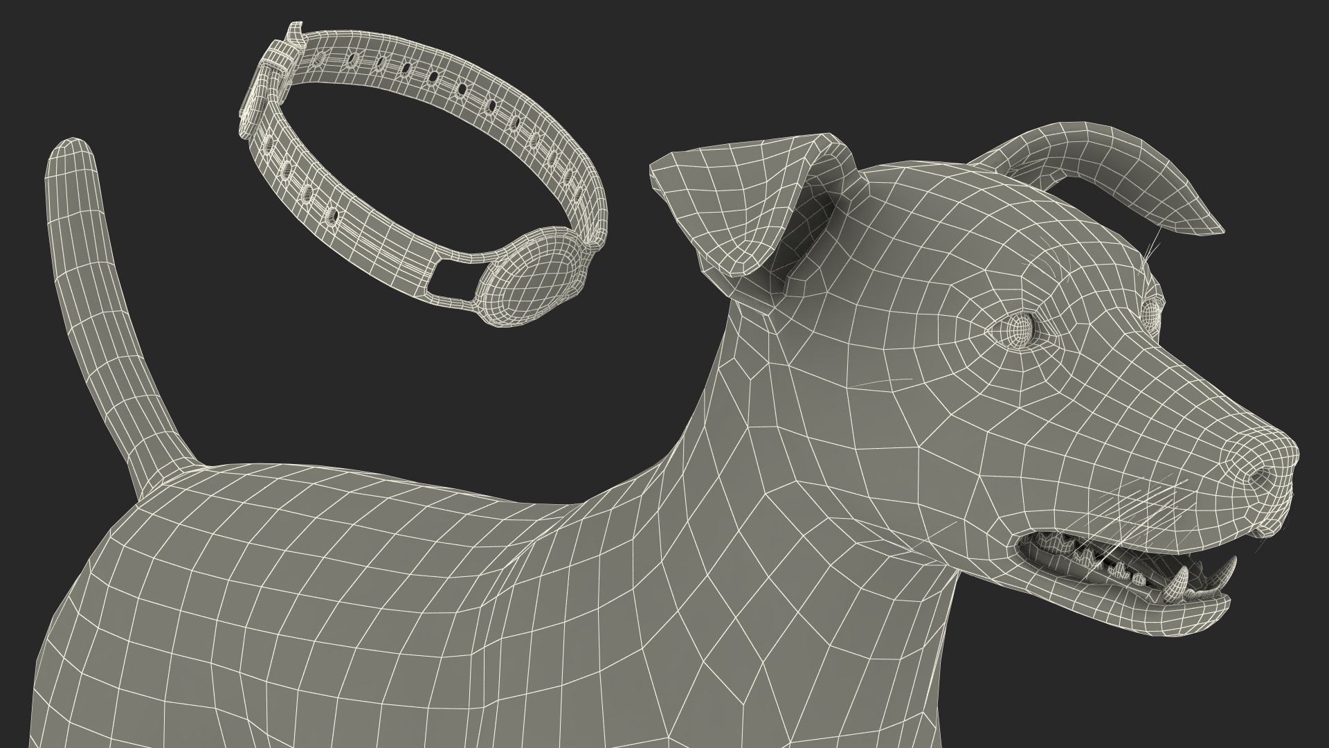 3D Jack Russell Terrier with Apple Dog Tracker model