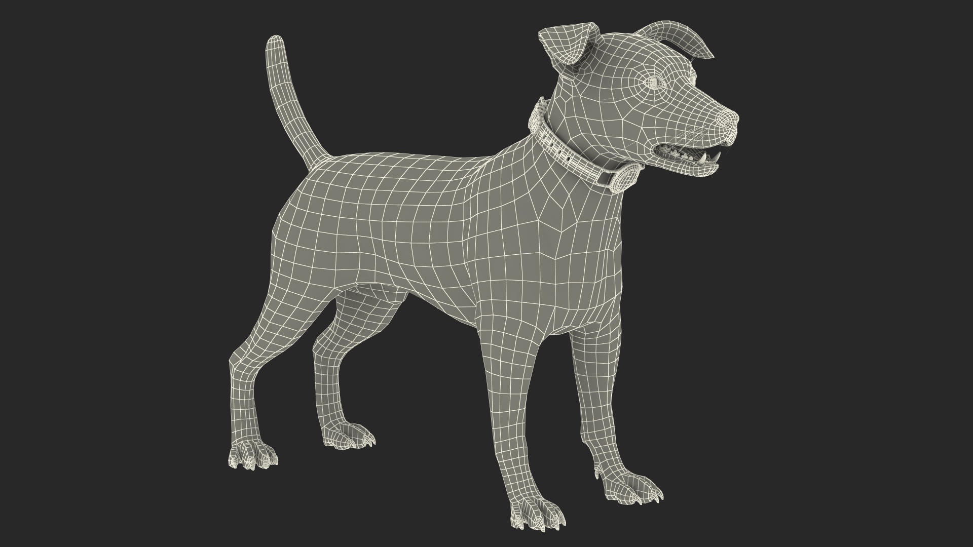3D Jack Russell Terrier with Apple Dog Tracker model