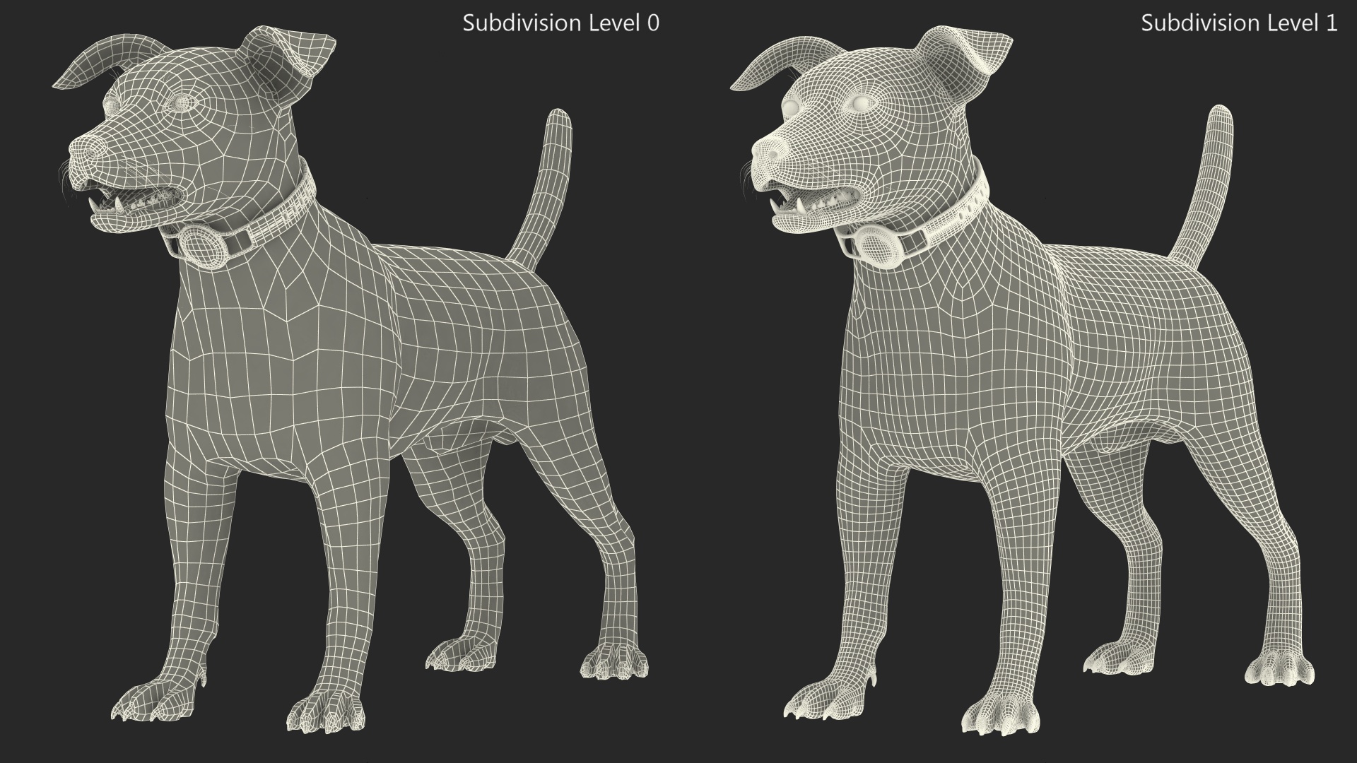 3D Jack Russell Terrier with Apple Dog Tracker model
