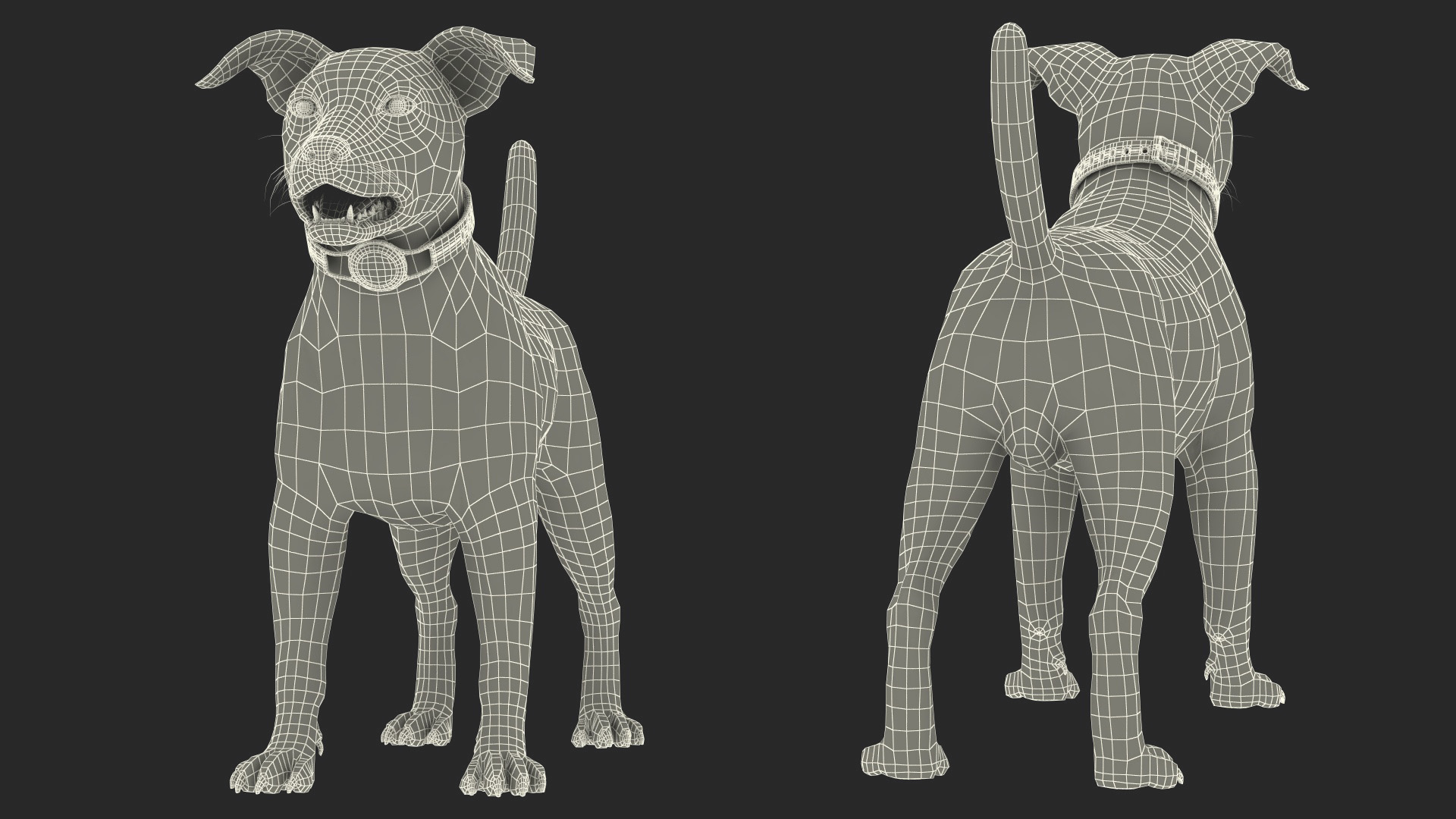 3D Jack Russell Terrier with Apple Dog Tracker model