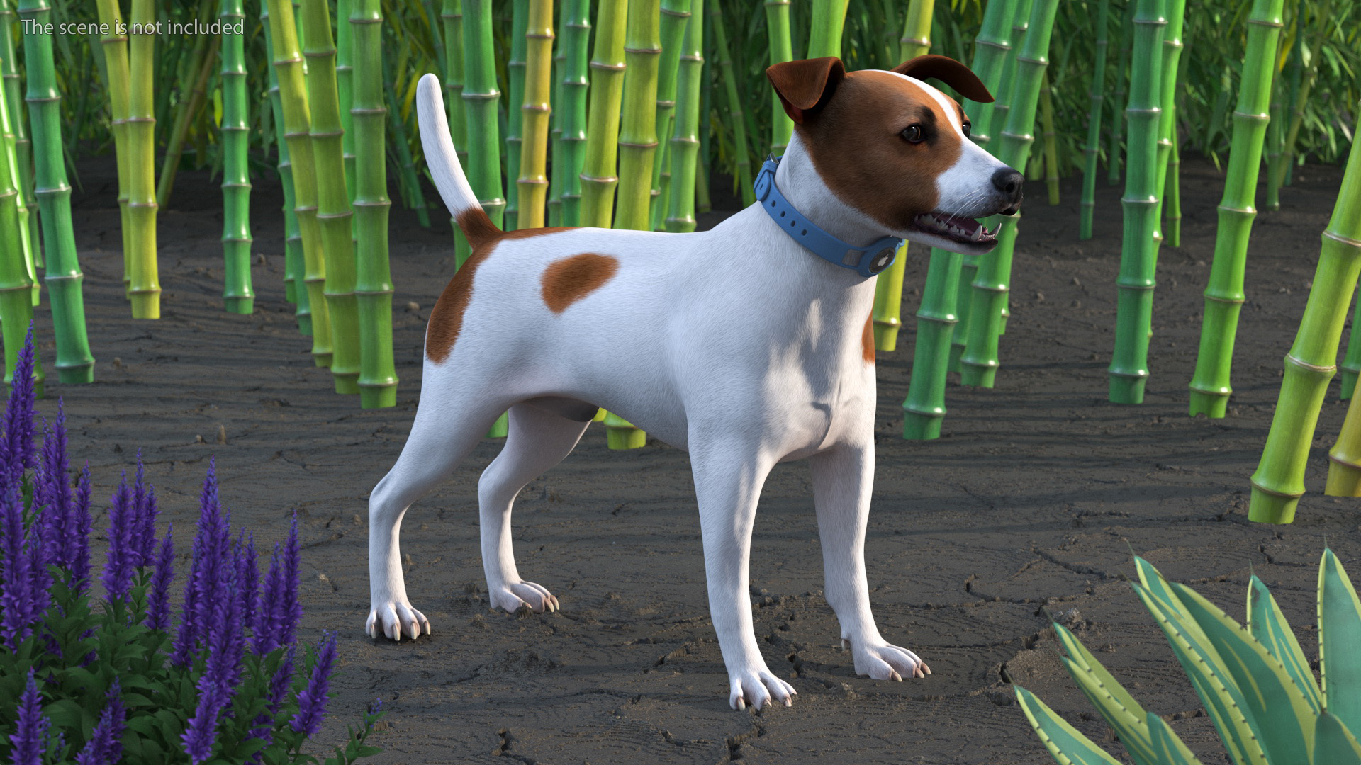 3D Jack Russell Terrier with Apple Dog Tracker model