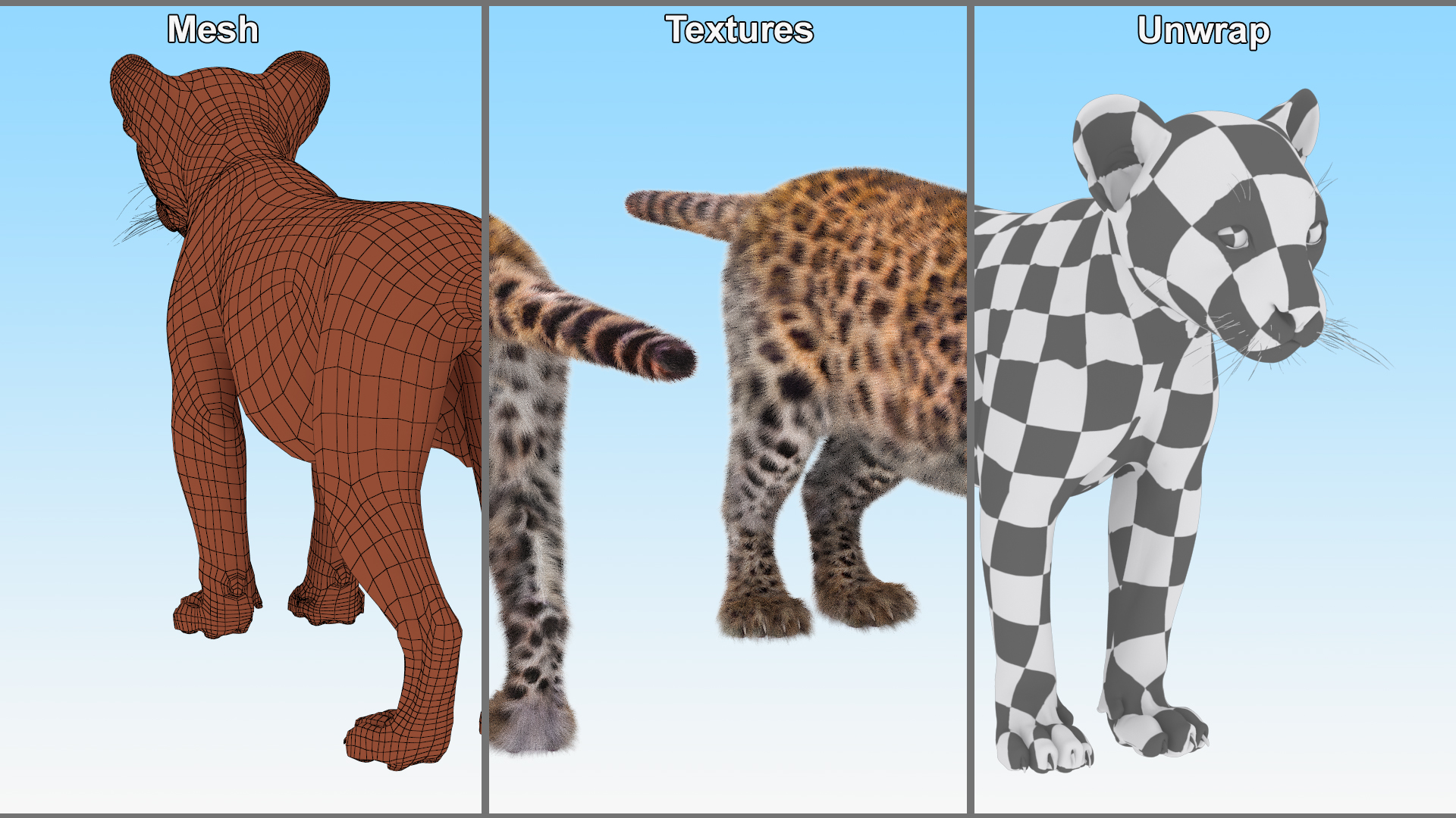 Leopard Cub Standing Pose with Fur 3D model