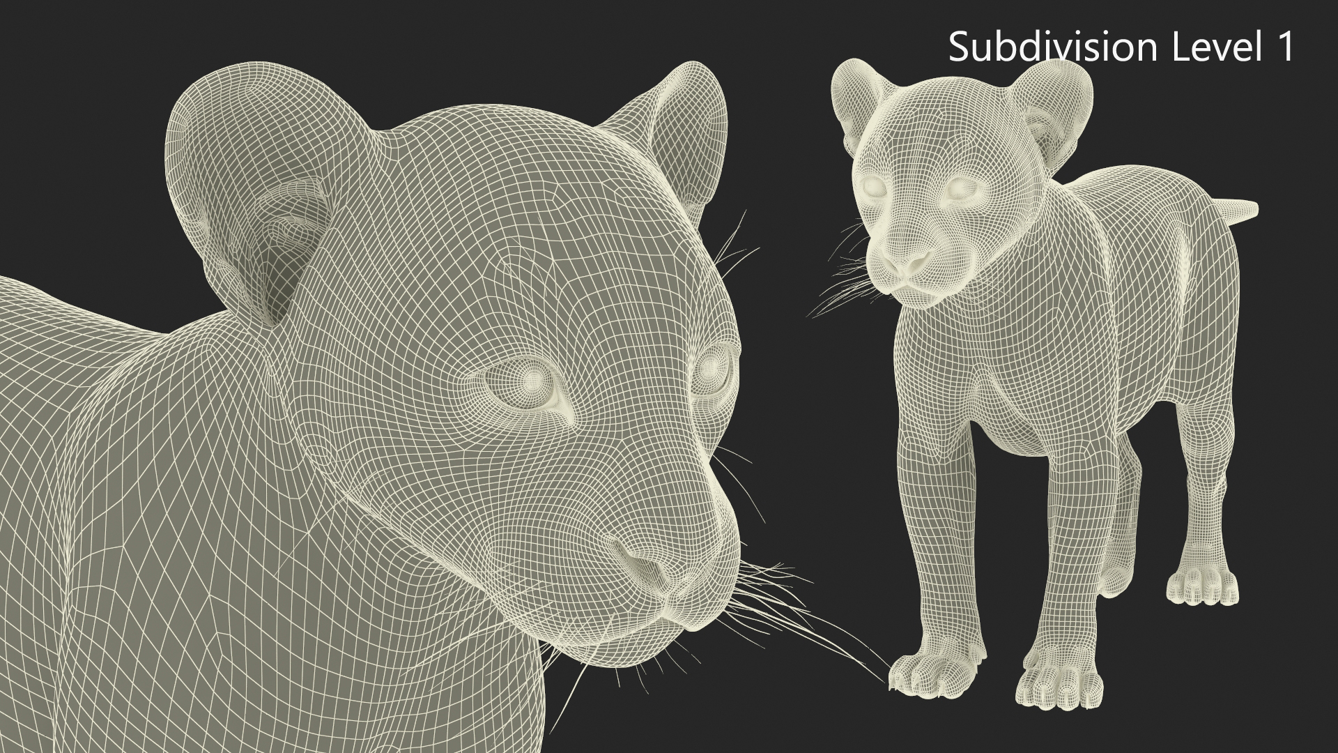 Leopard Cub Standing Pose with Fur 3D model