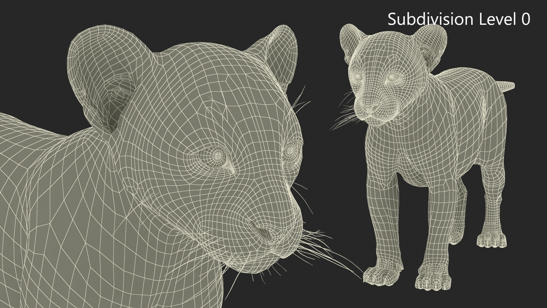 Leopard Cub Standing Pose with Fur 3D model