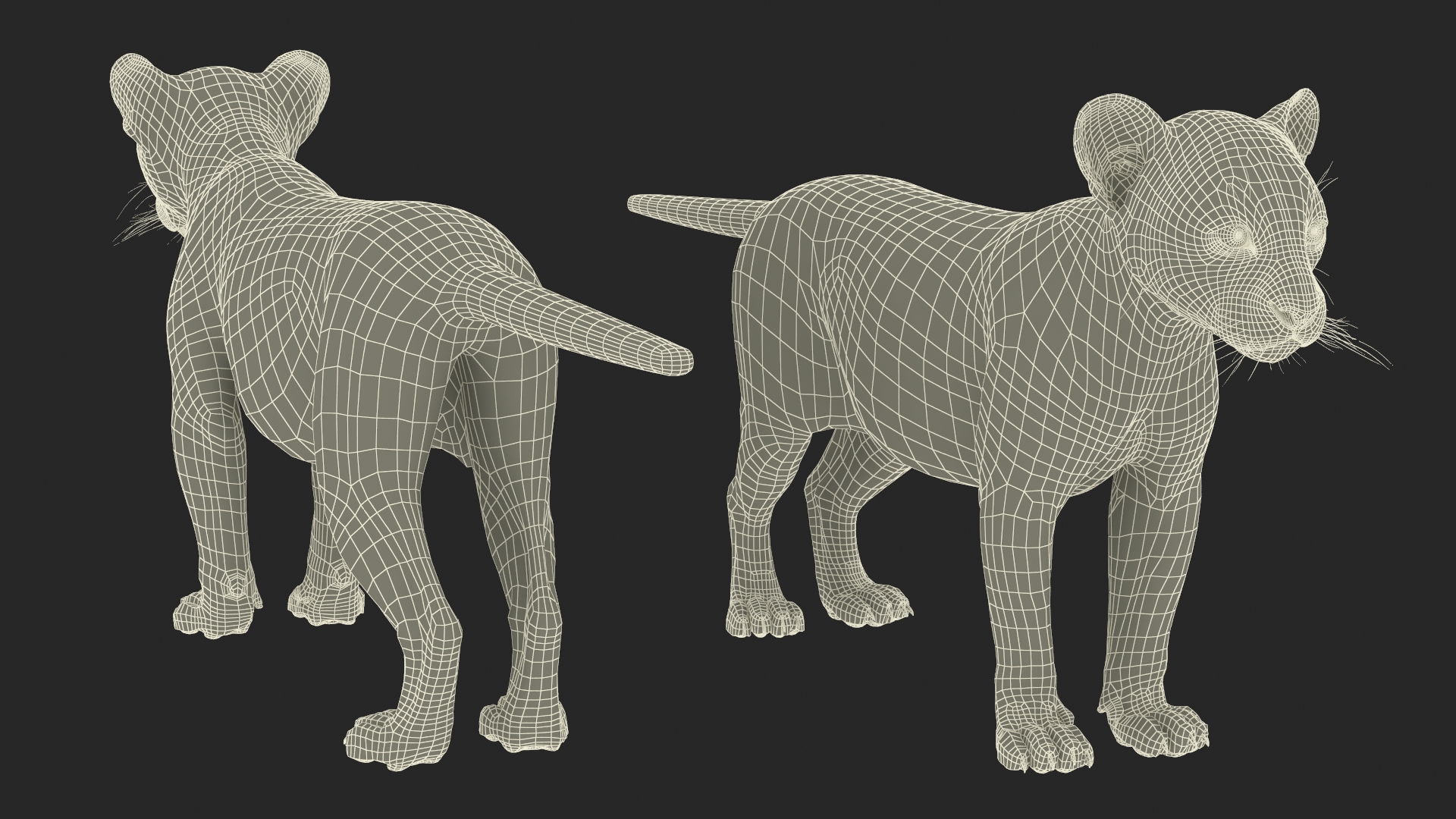 Leopard Cub Standing Pose with Fur 3D model