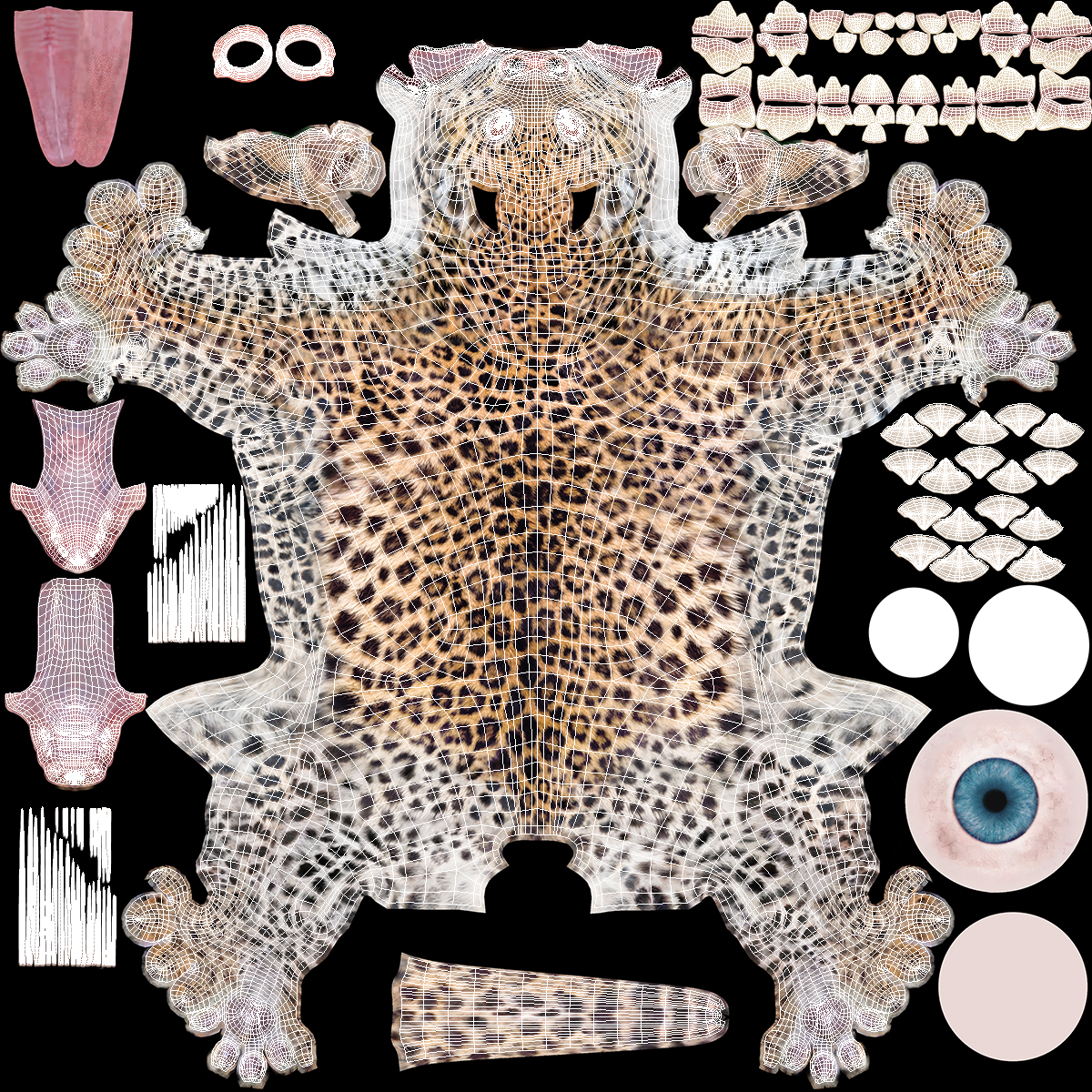 Leopard Cub Standing Pose with Fur 3D model