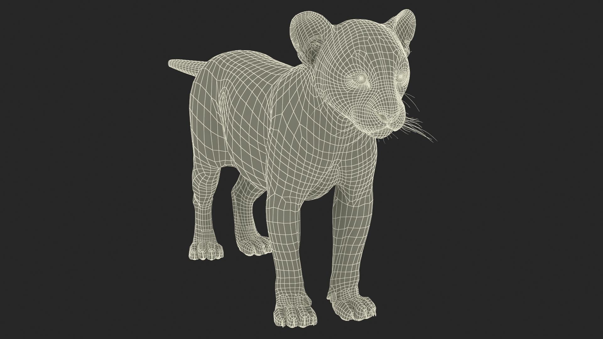 Leopard Cub Standing Pose with Fur 3D model