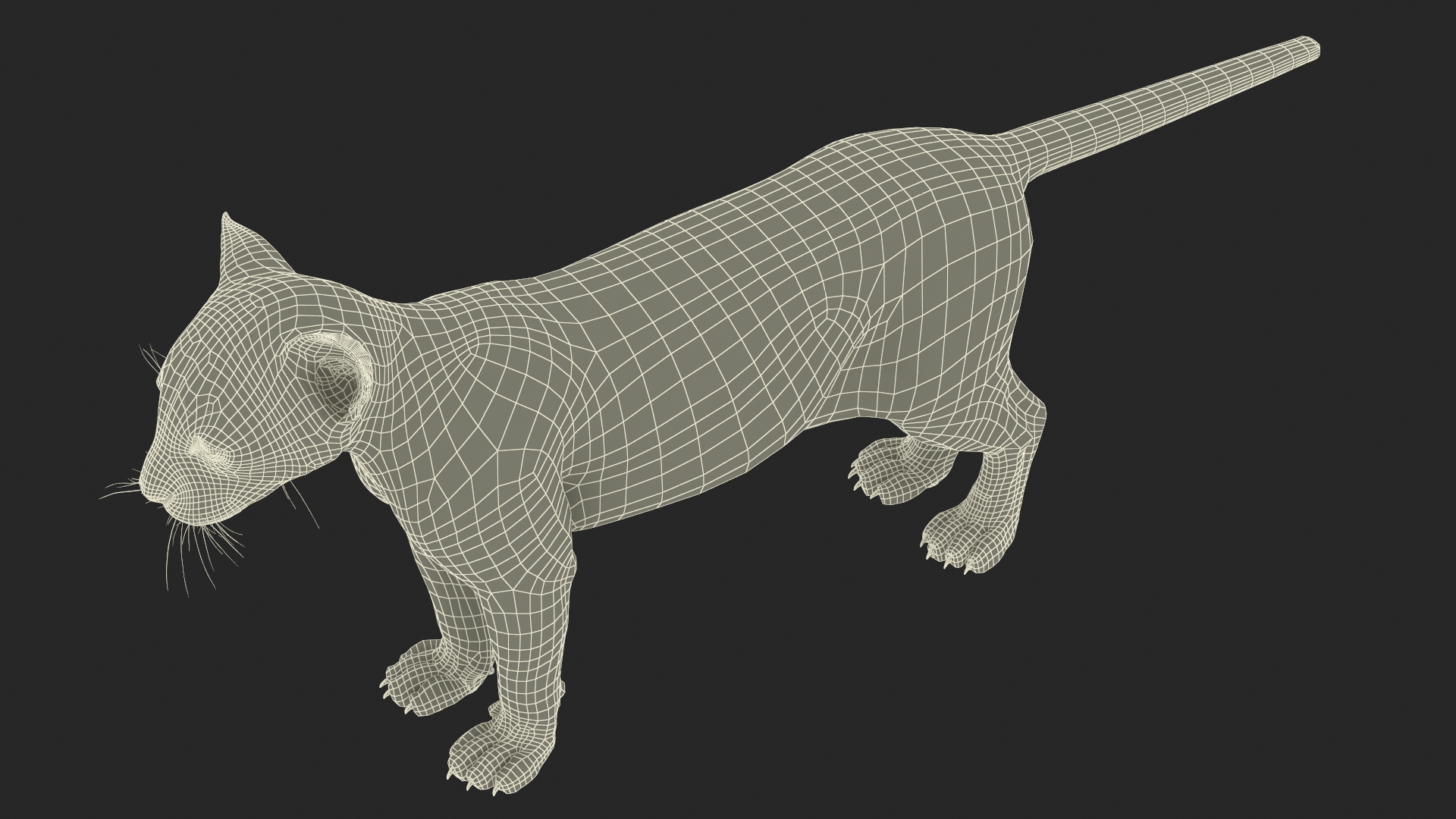 Leopard Cub Standing Pose with Fur 3D model