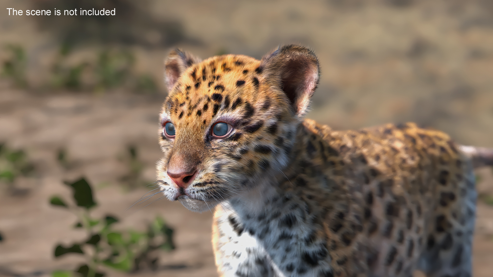 Leopard Cub Standing Pose with Fur 3D model