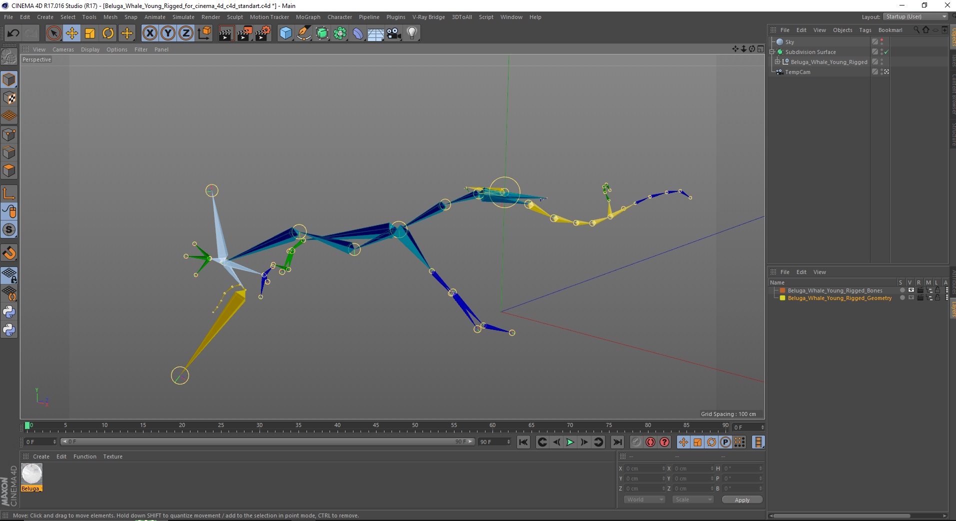 Beluga Whale Young Rigged for Cinema 4D 3D model