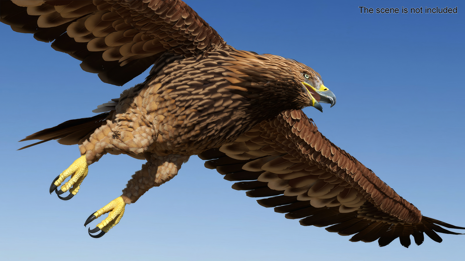 3D Imperial Eagle Flying