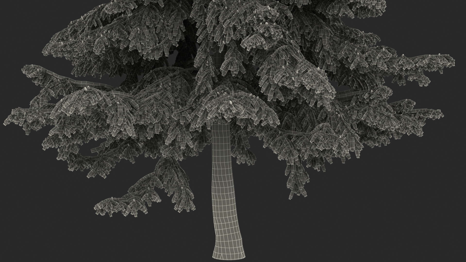 Cedrus Libani Green Tree 3D model
