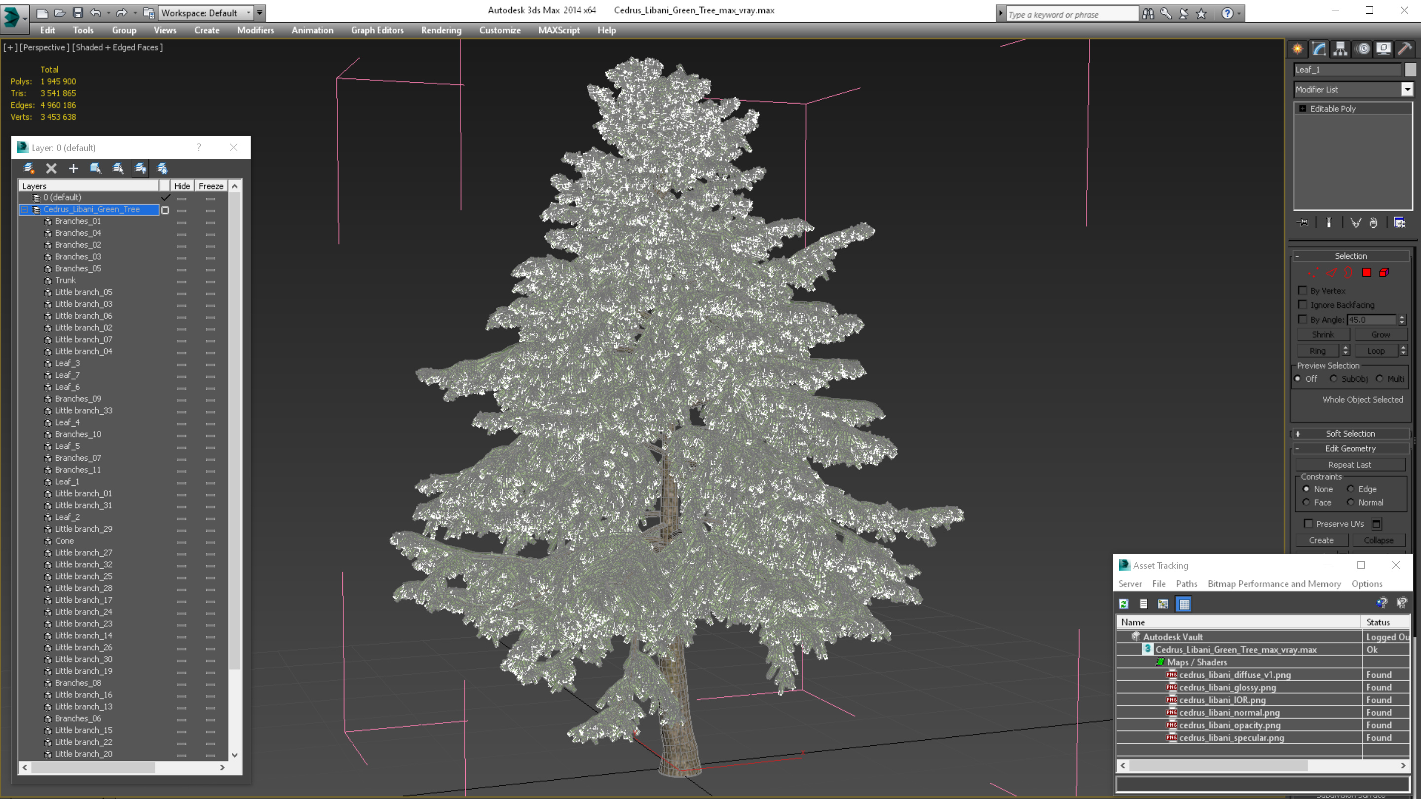 Cedrus Libani Green Tree 3D model