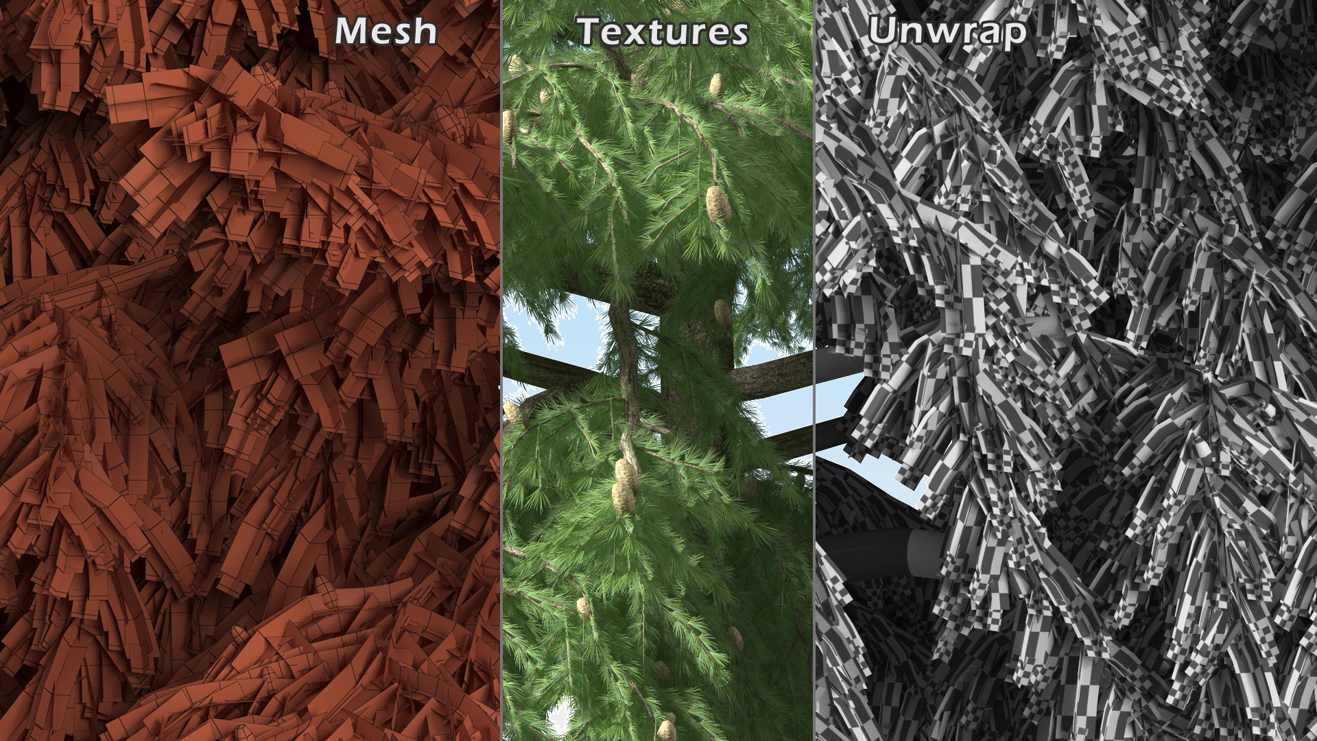Cedrus Libani Green Tree 3D model
