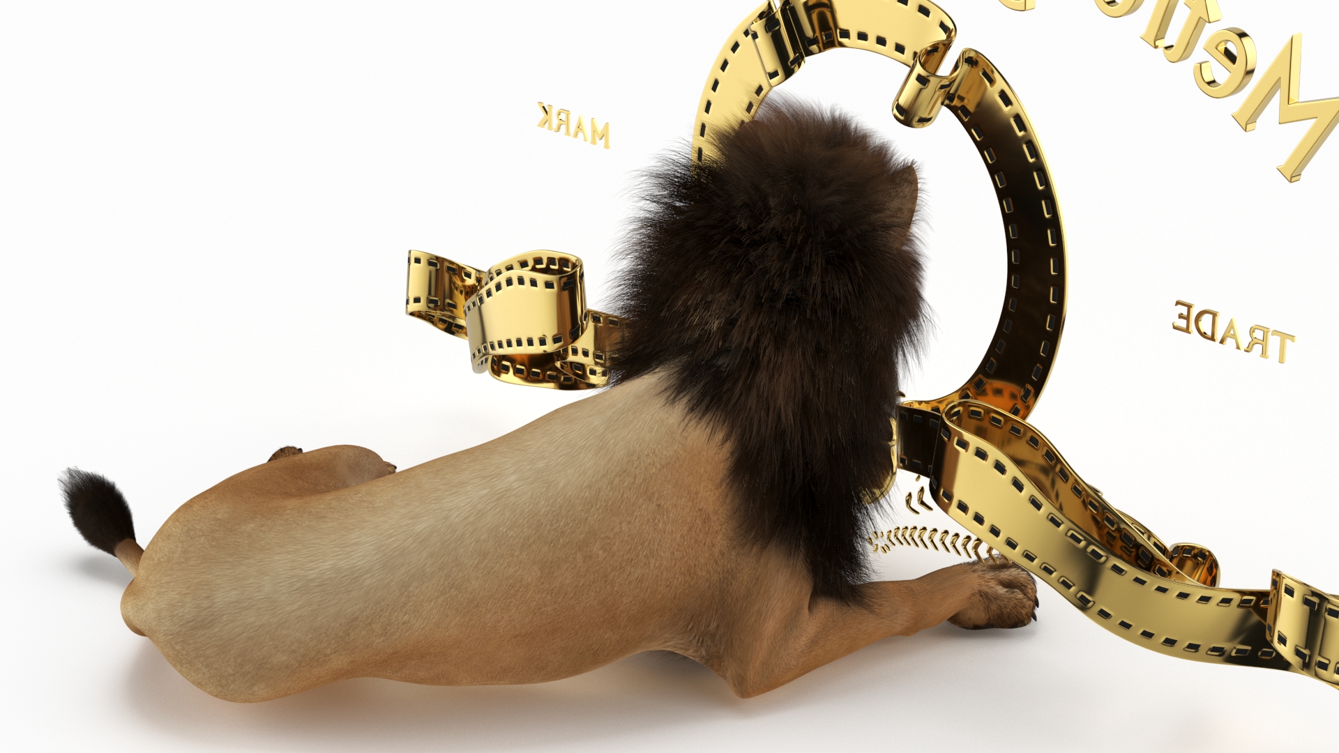 Metro Goldwyn Mayer and Lion Fur 3D