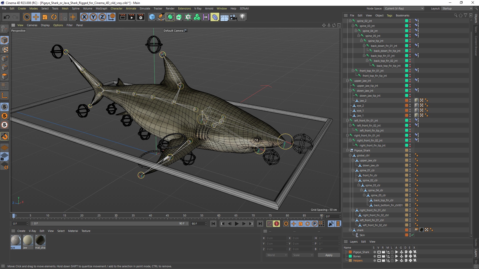 Pigeye Shark or Java Shark Rigged for Cinema 4D 3D