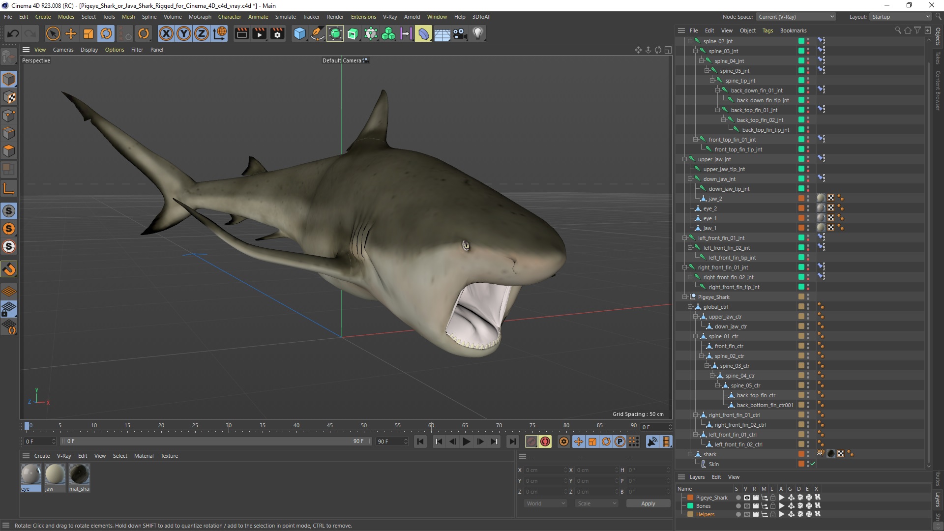 Pigeye Shark or Java Shark Rigged for Cinema 4D 3D