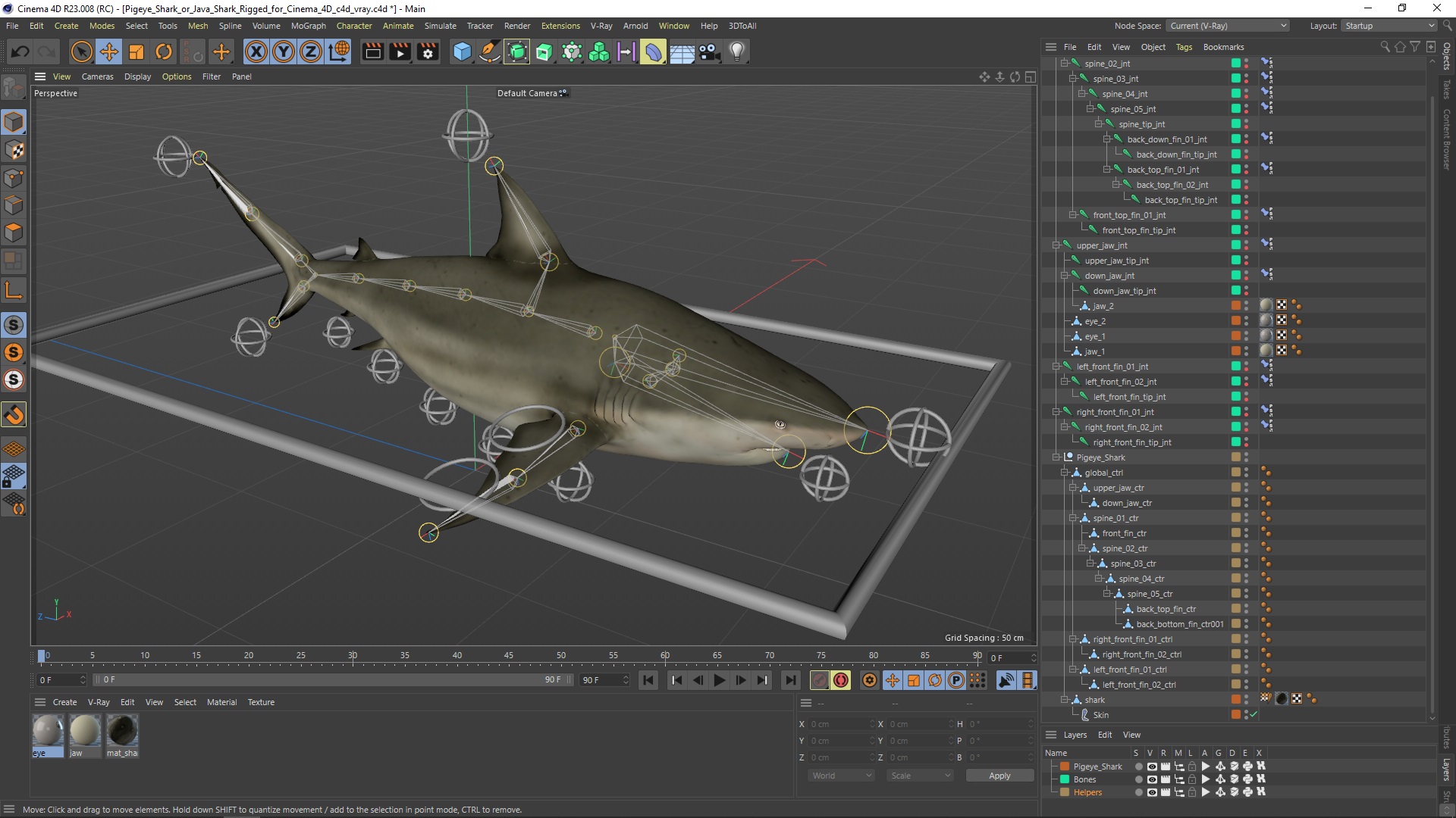 Pigeye Shark or Java Shark Rigged for Cinema 4D 3D