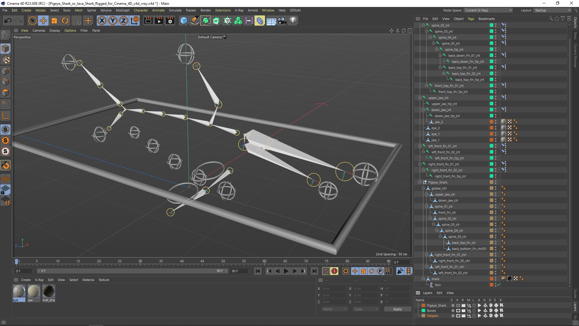 Pigeye Shark or Java Shark Rigged for Cinema 4D 3D