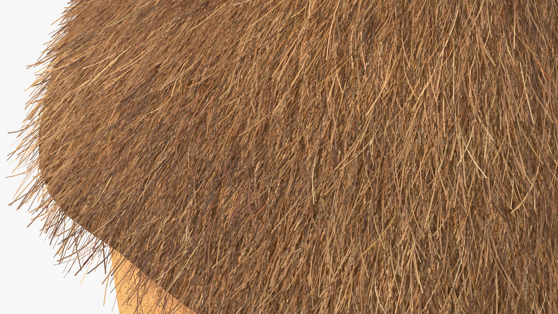 3D African Round Clay House Fur model