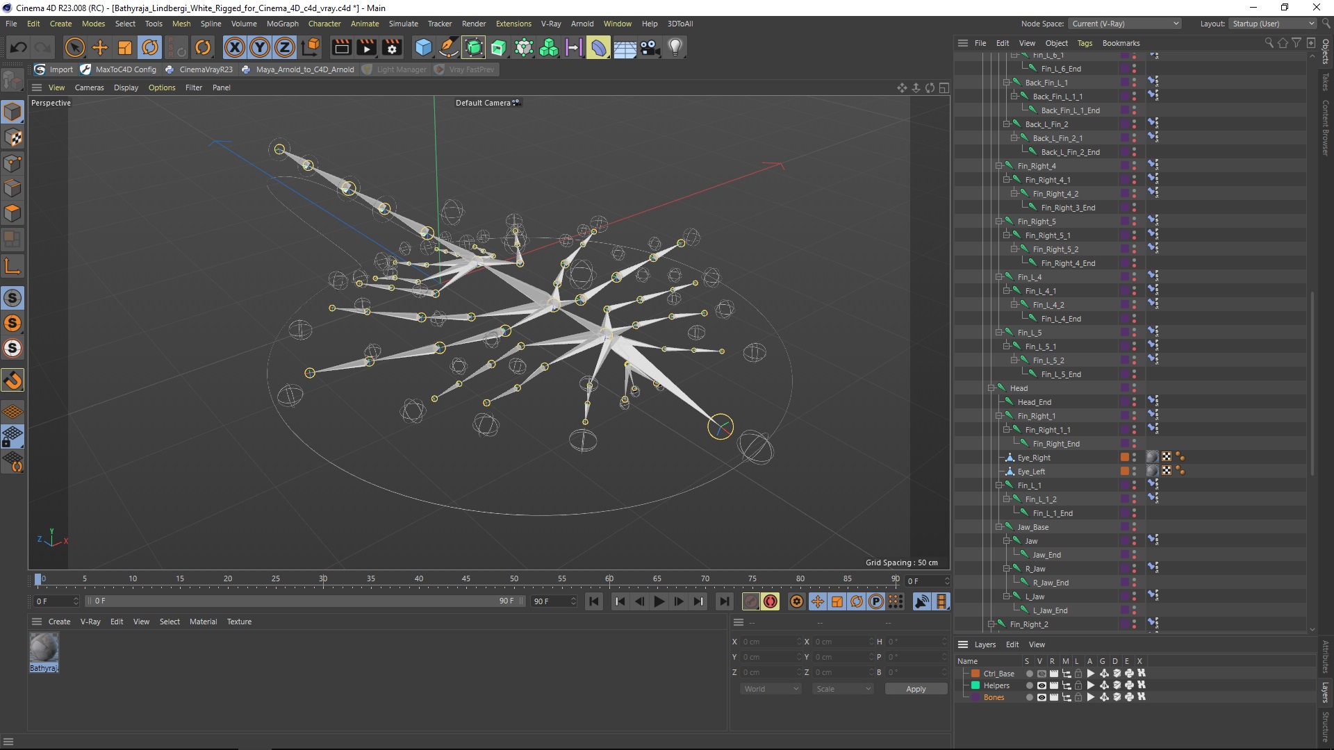 3D Bathyraja Lindbergi White Rigged for Cinema 4D