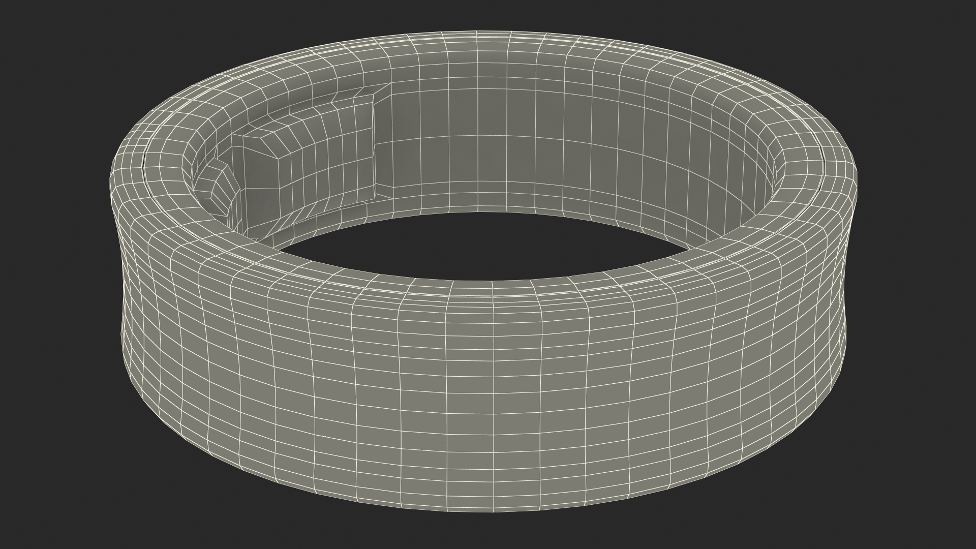 Smart Ring Silver 3D