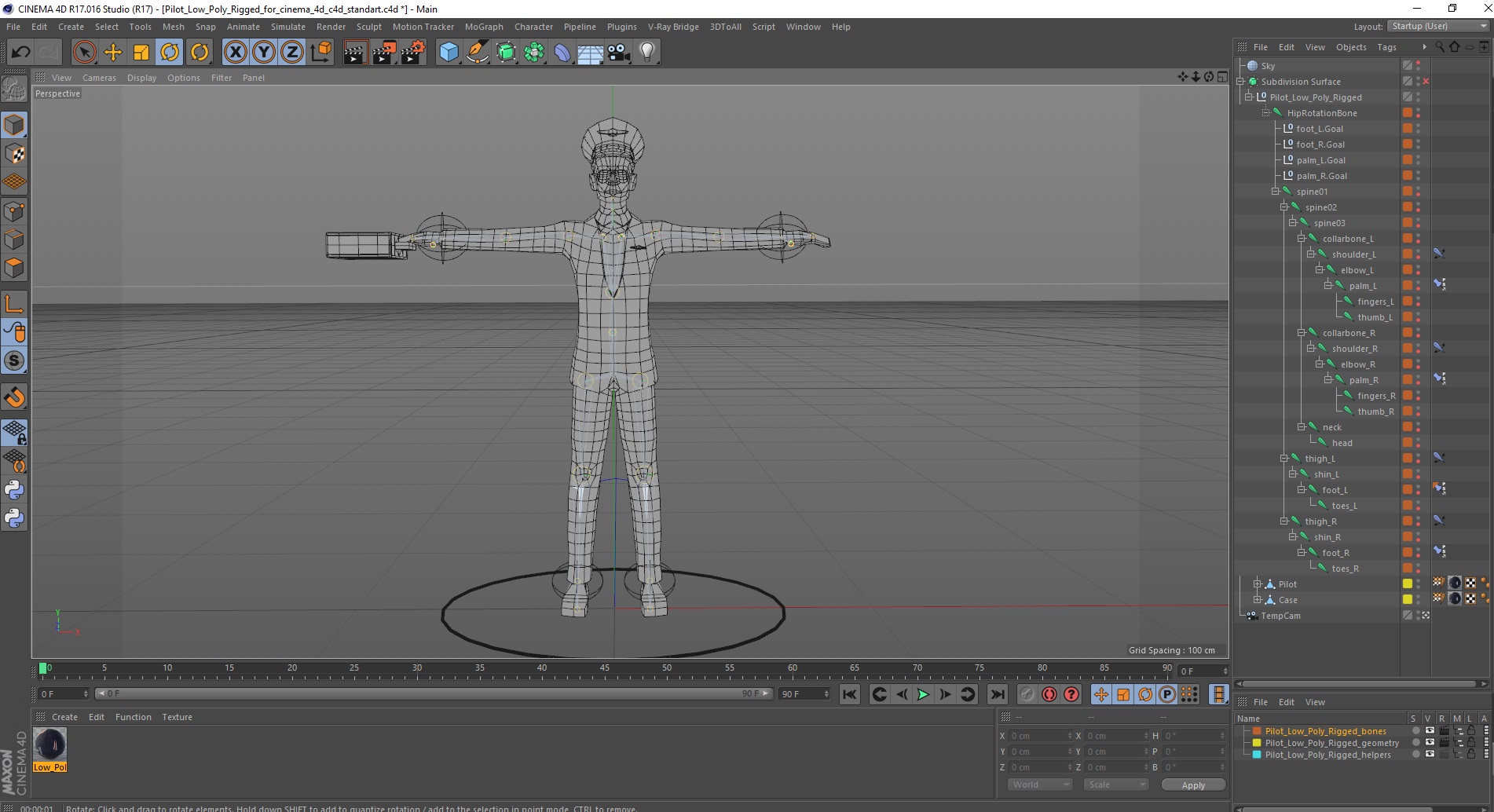 3D model Pilot Low Poly Rigged for Cinema 4D