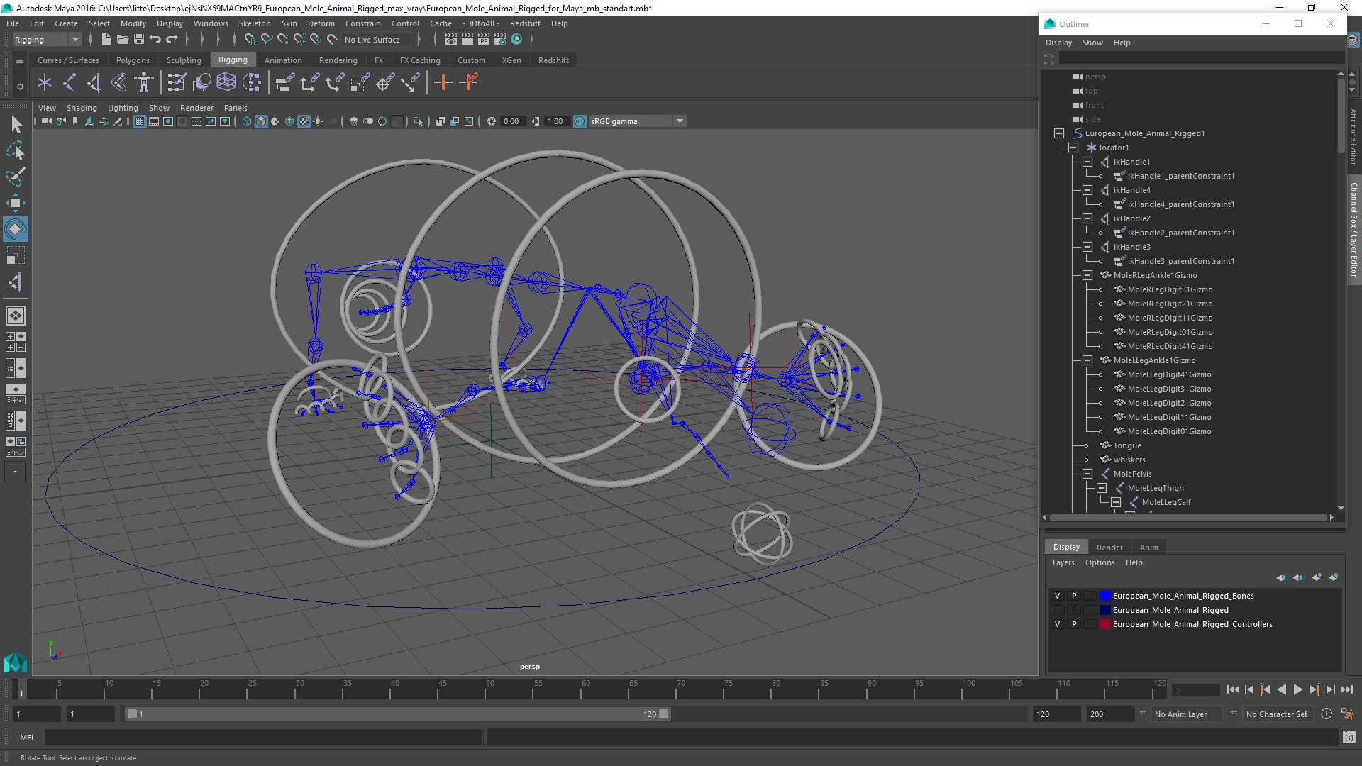 3D European Mole Animal Rigged for Maya