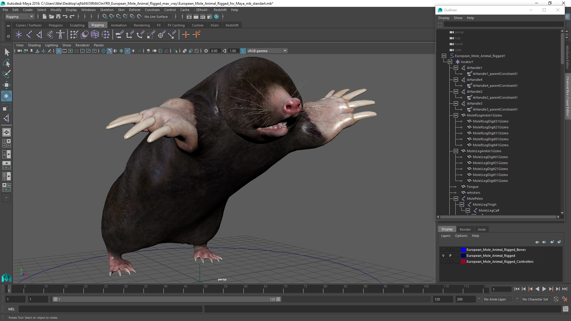 3D European Mole Animal Rigged for Maya