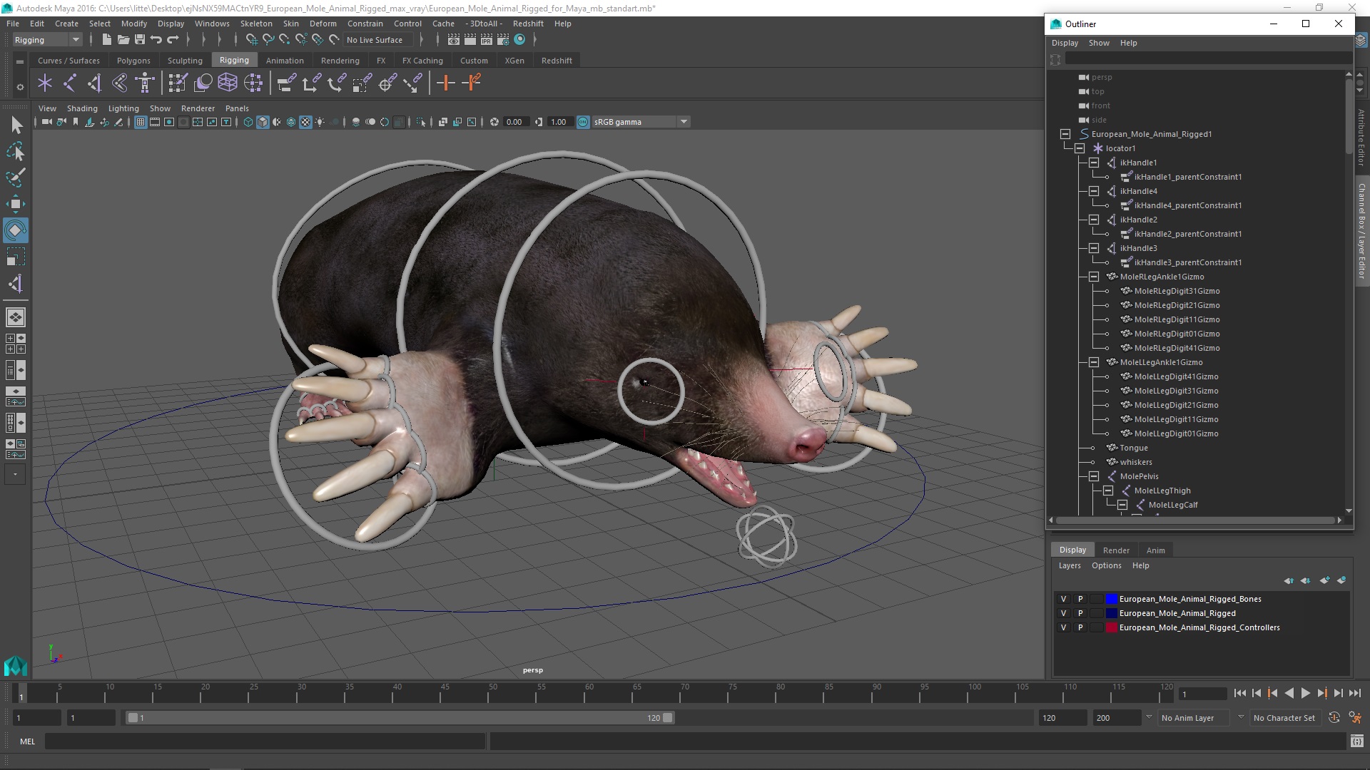 3D European Mole Animal Rigged for Maya