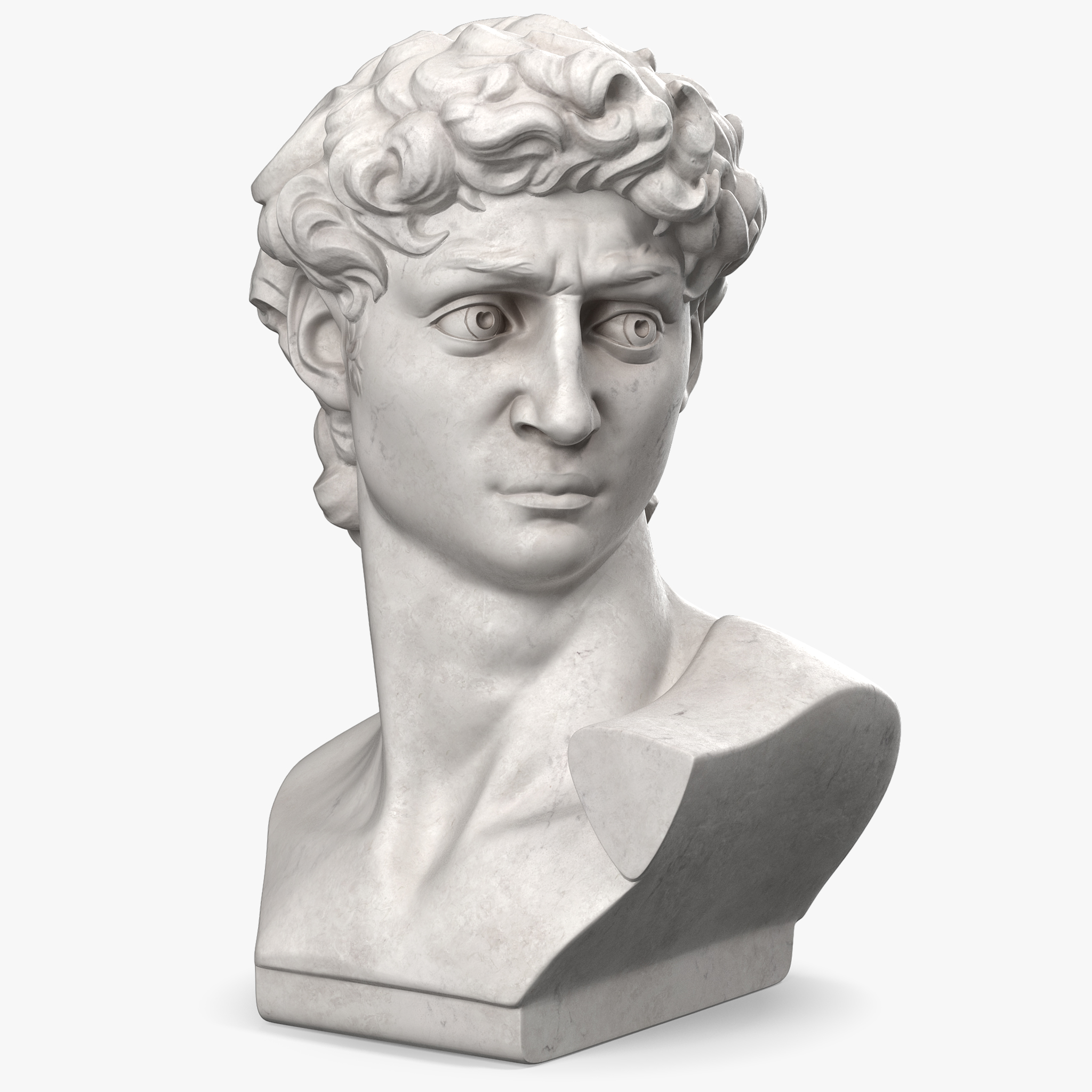 Bust of David by Michelangelo 3D Model, view 3