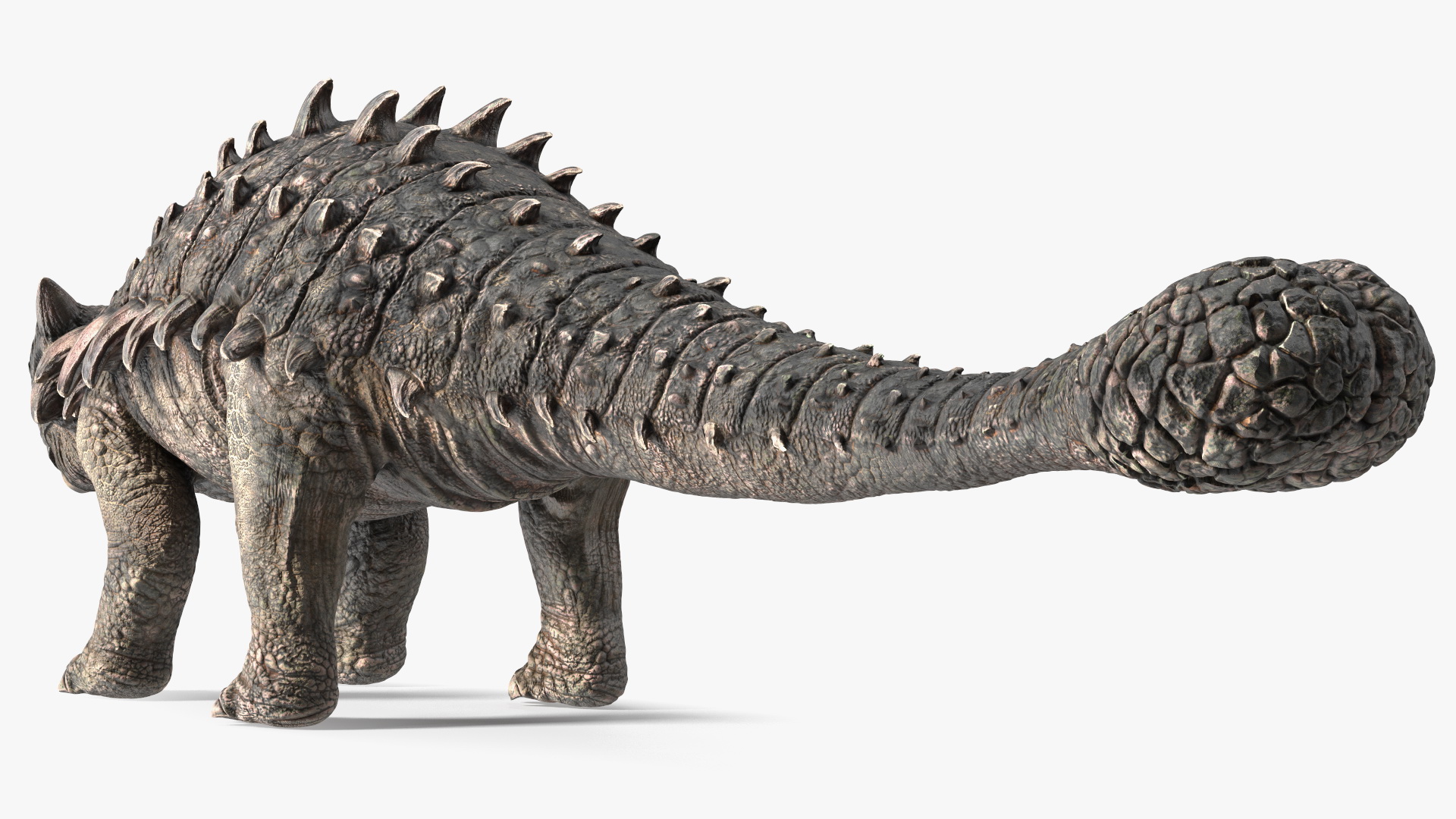 3D Alkylosaurus of Tropical Habitat Rigged for Cinema 4D model