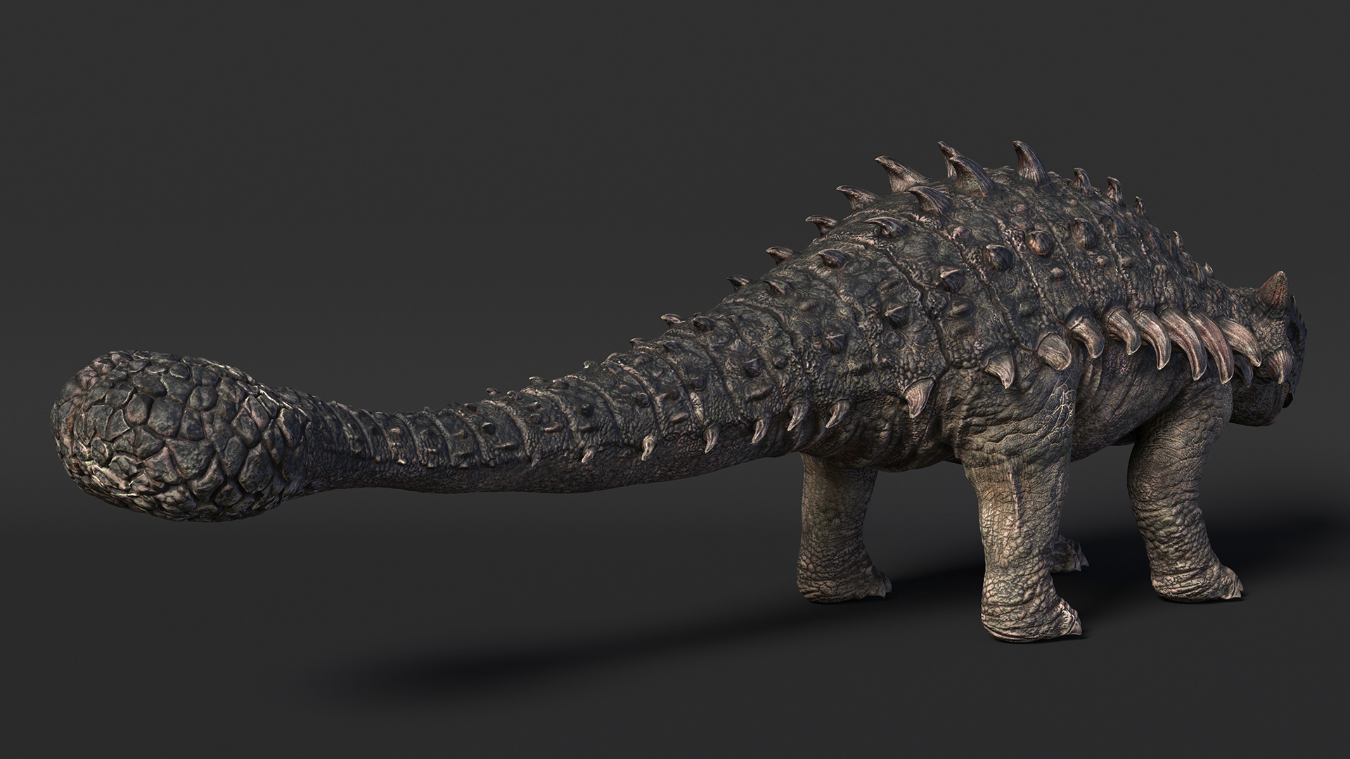 3D Alkylosaurus of Tropical Habitat Rigged for Cinema 4D model
