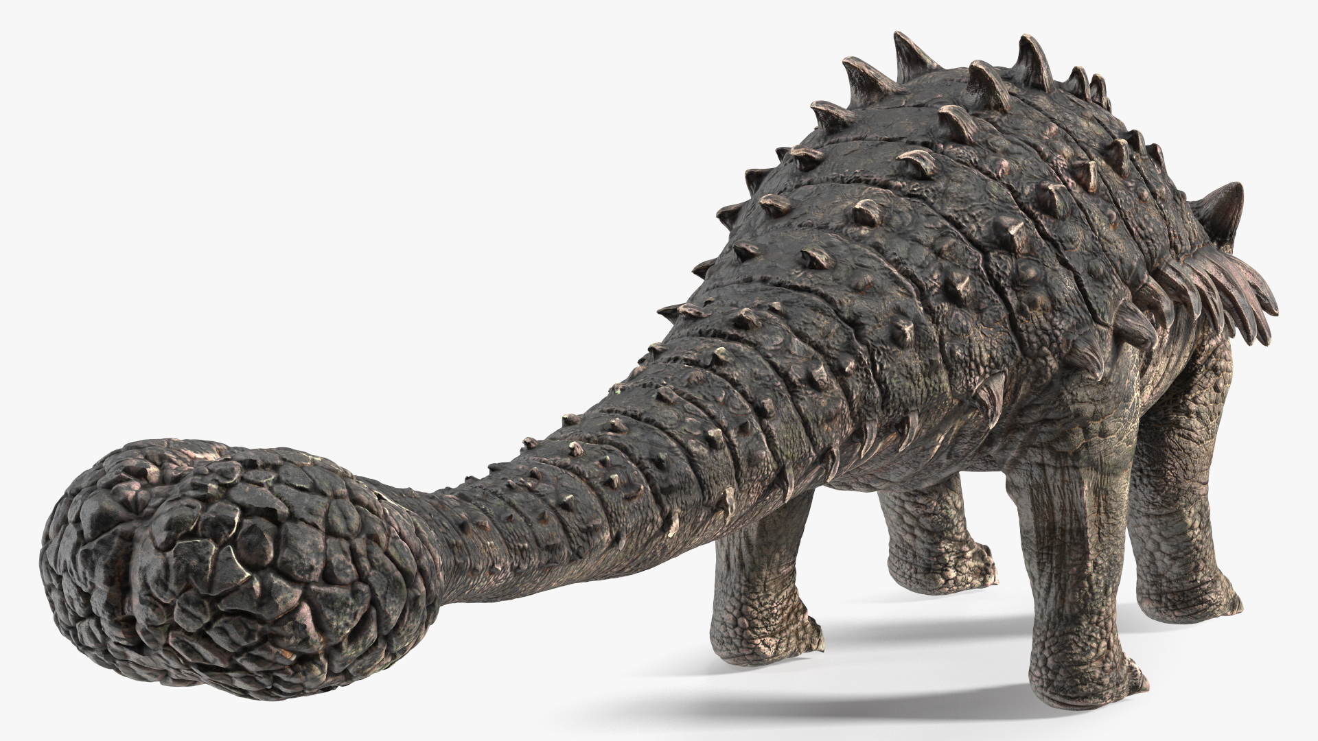 3D Alkylosaurus of Tropical Habitat Rigged for Cinema 4D model
