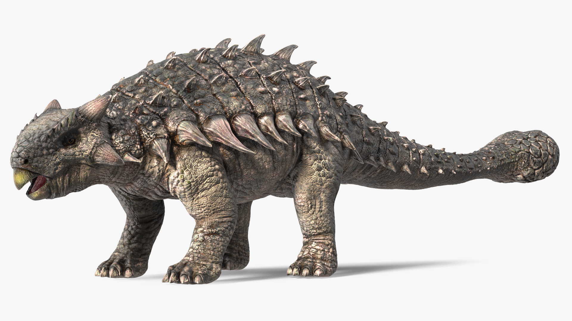 3D Alkylosaurus of Tropical Habitat Rigged for Cinema 4D model